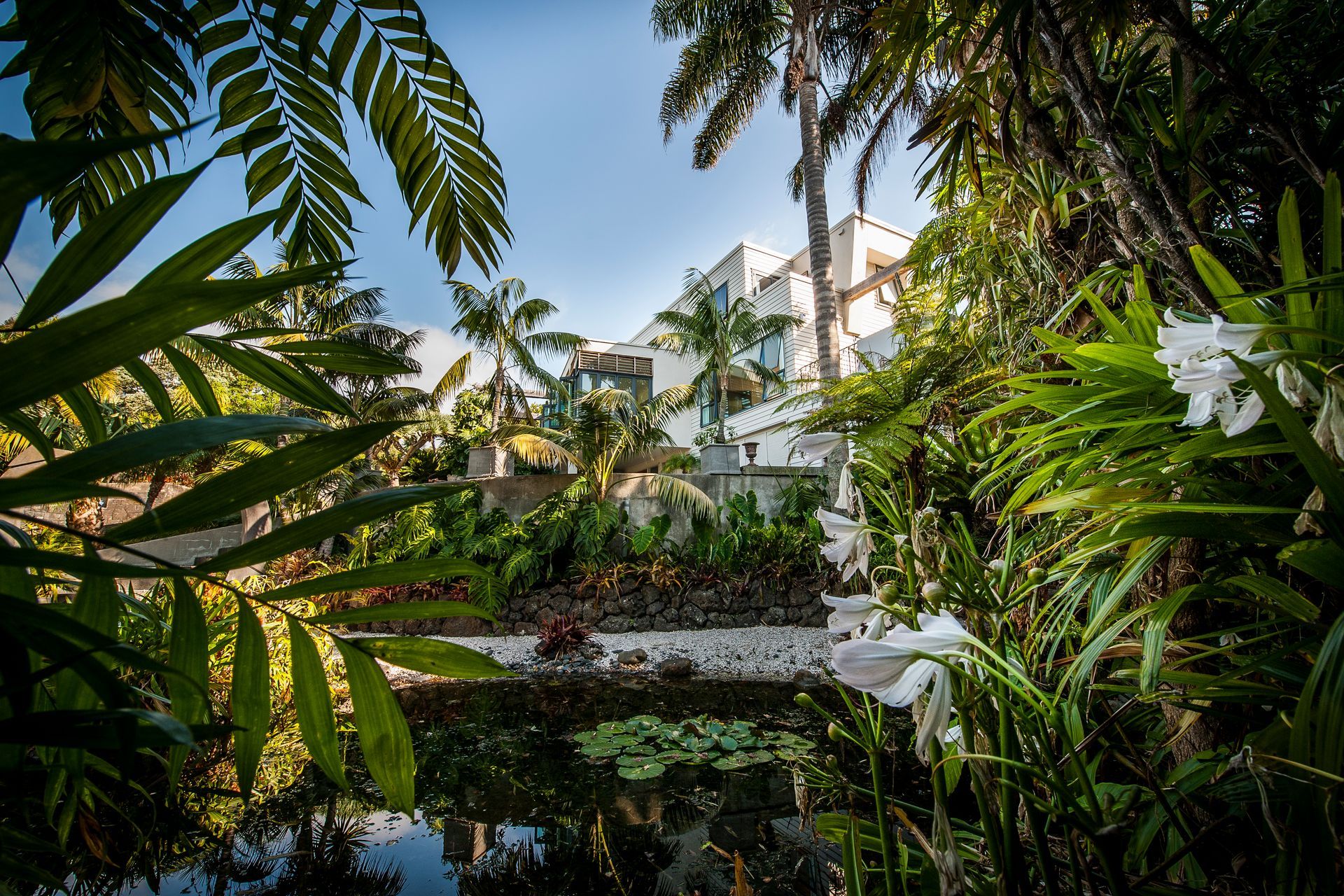 Kohimaramara Garden &amp; Green Wall