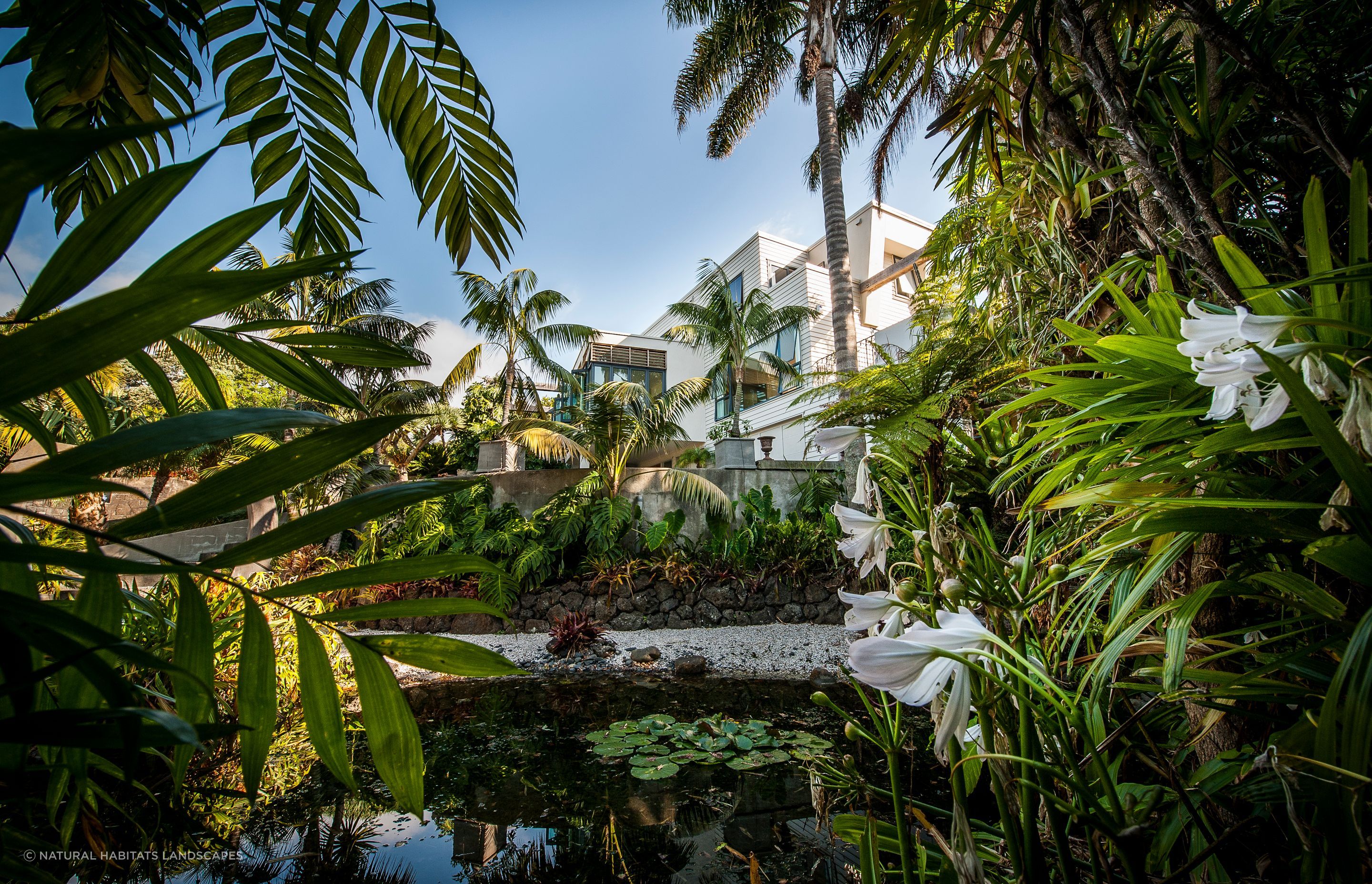 Kohimaramara Garden & Green Wall