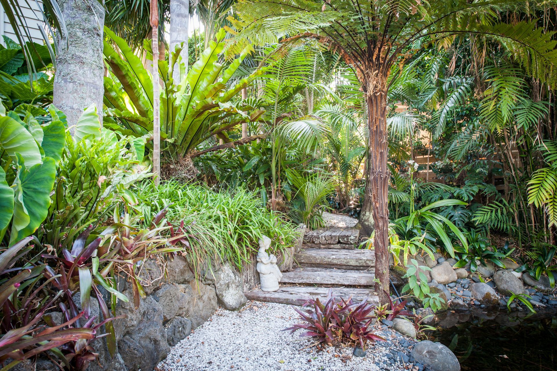 Kohimaramara Garden &amp; Green Wall