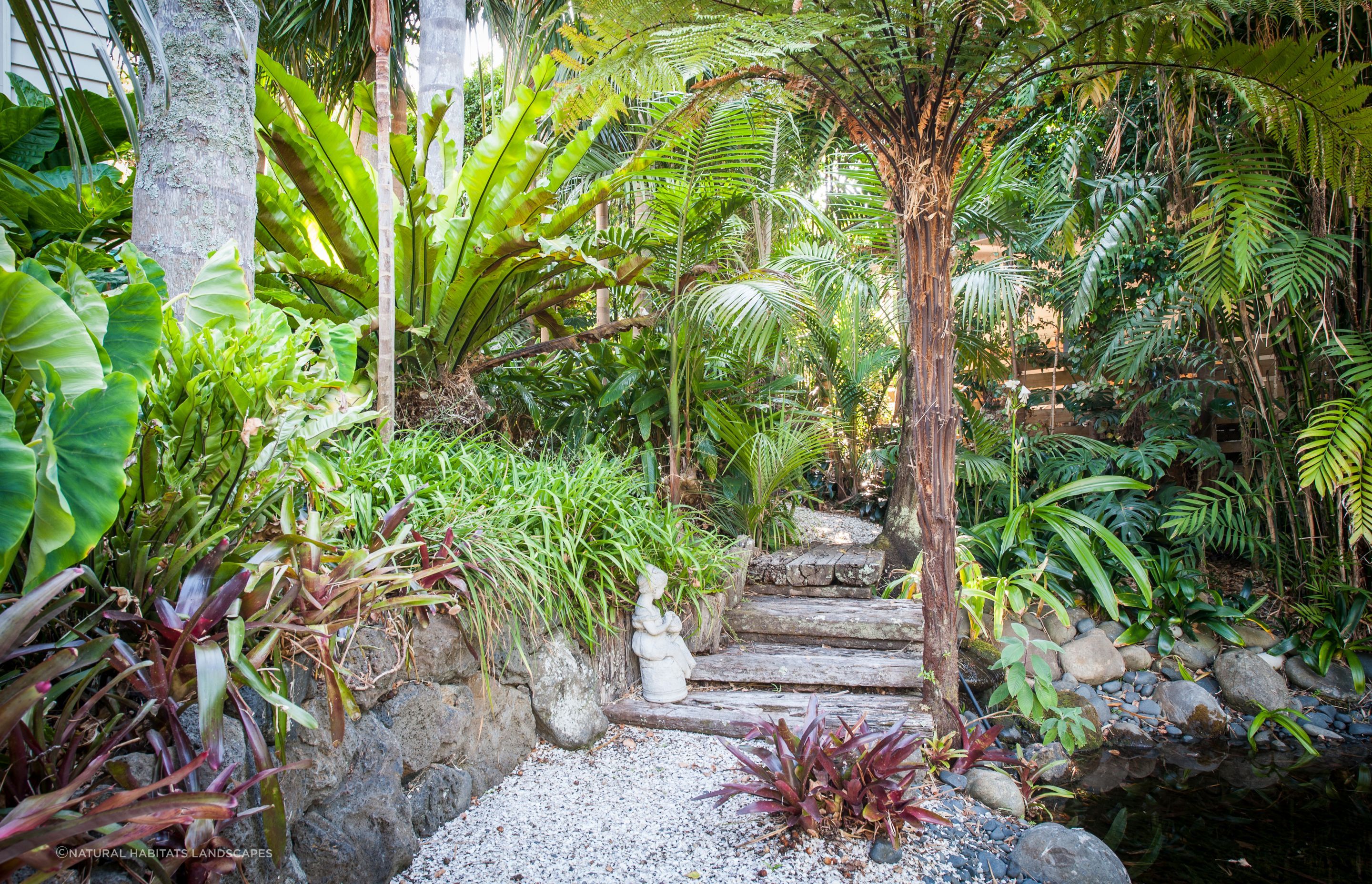 Kohimaramara Garden & Green Wall