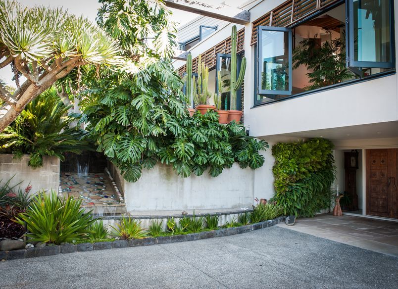 Kohimaramara Garden & Green Wall