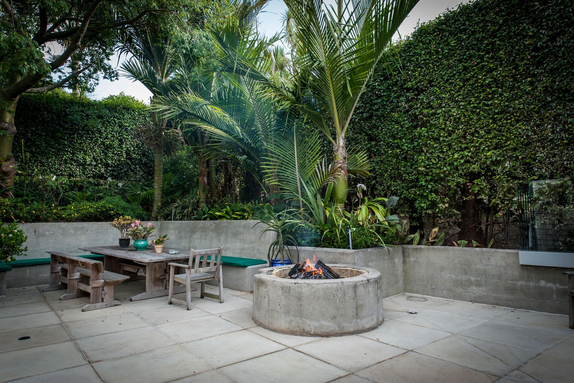 Kohimaramara Home Green Wall