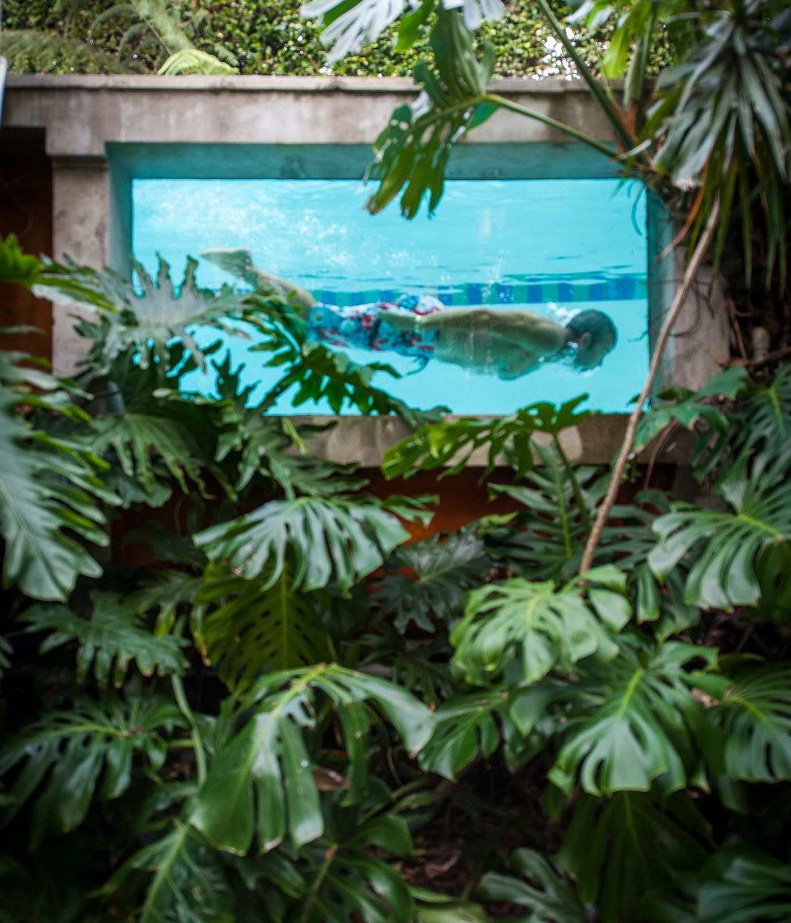Kohimaramara Garden &amp; Green Wall