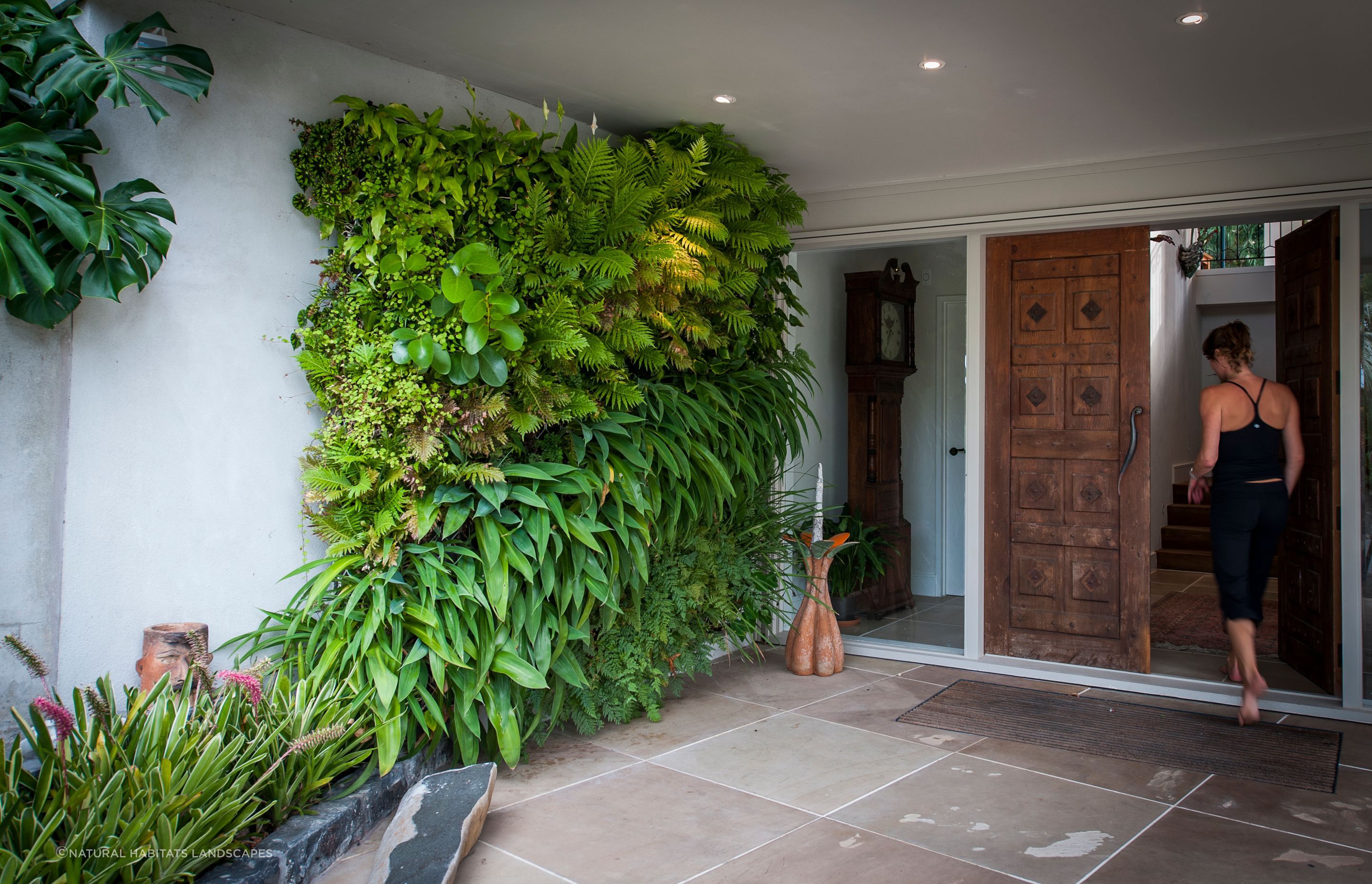 Kohimaramara Home Green Wall