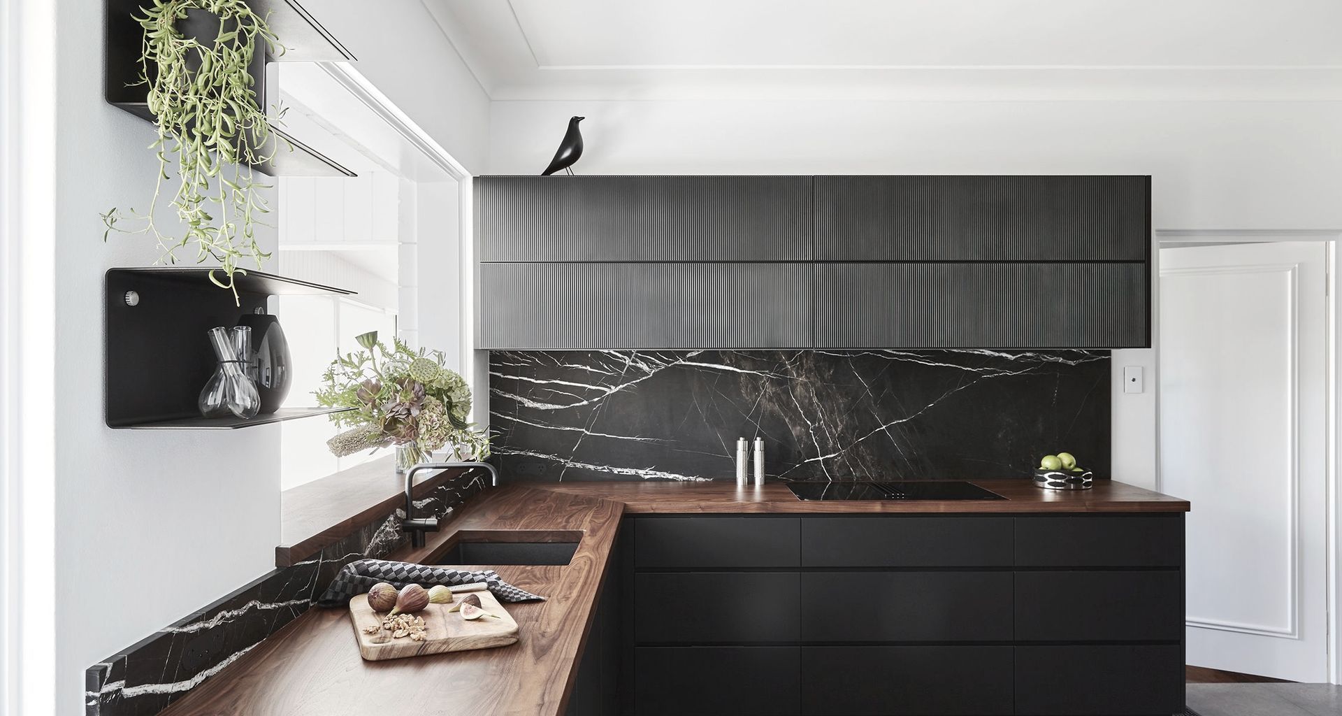 Collaroy 6 project banner