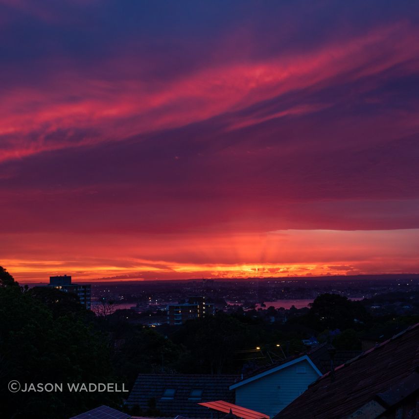 20111651-Crows-Nest-Road-Waverton-69.jpg