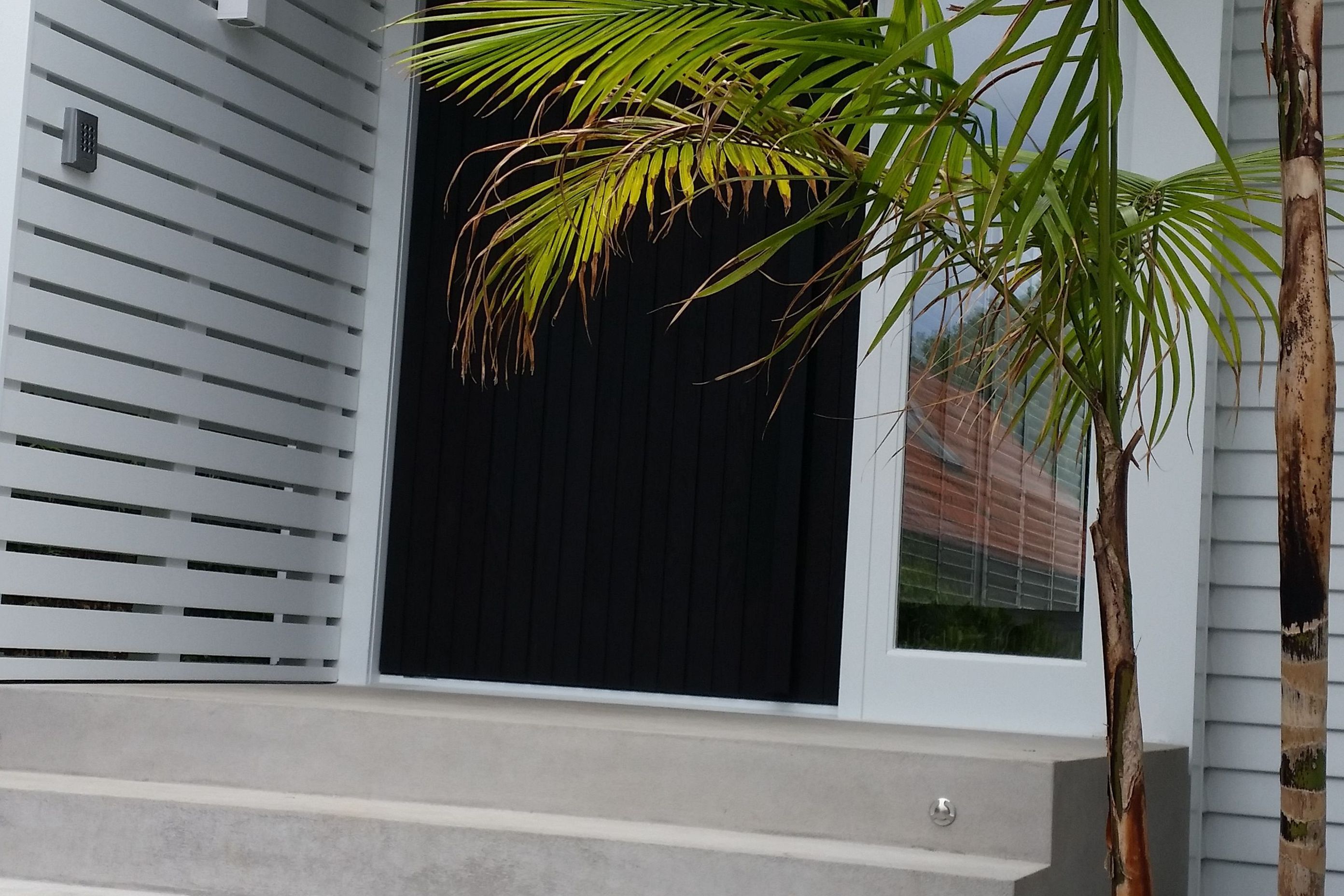 Martin Avenue, Remuera