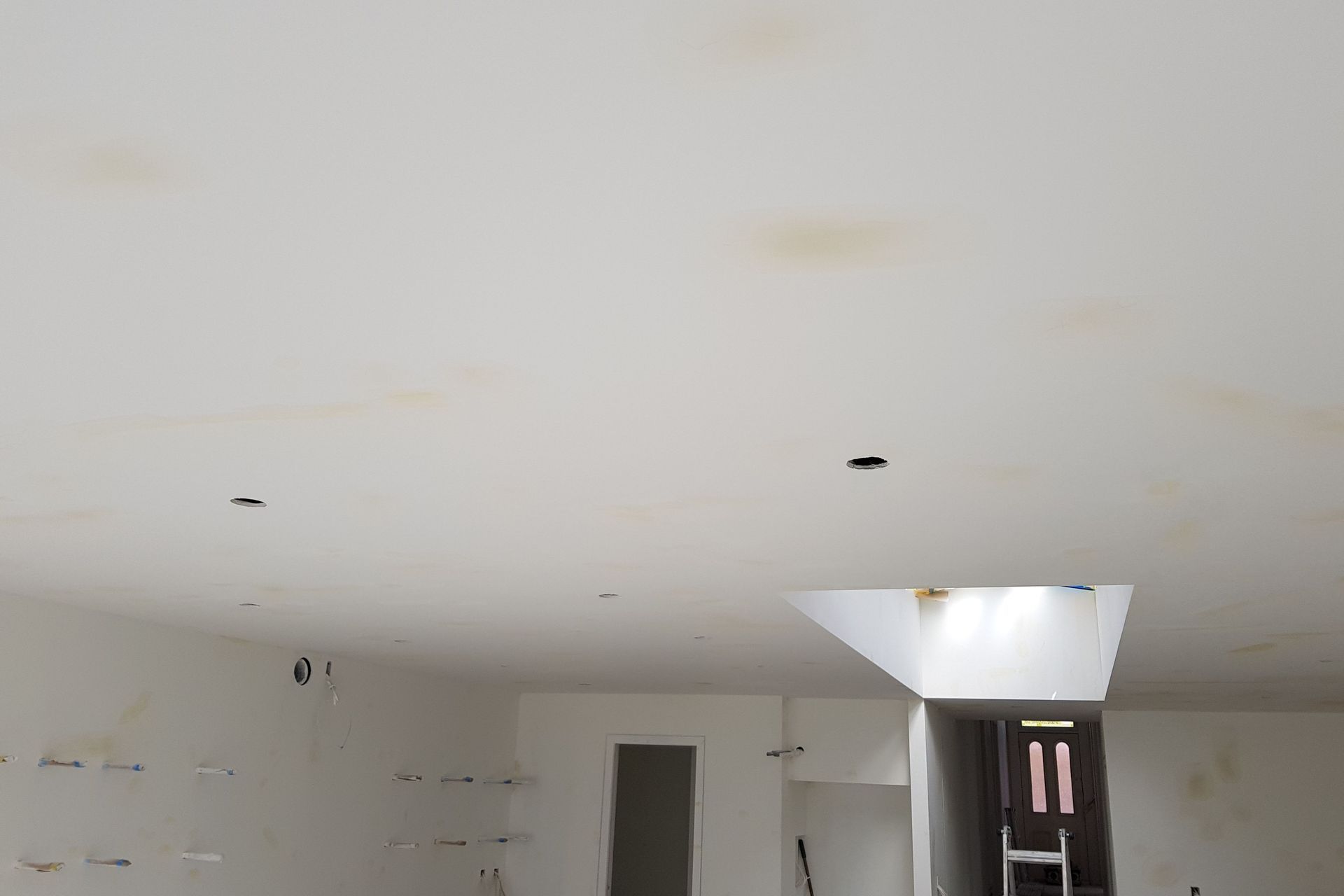 Rose Road, Grey Lynn