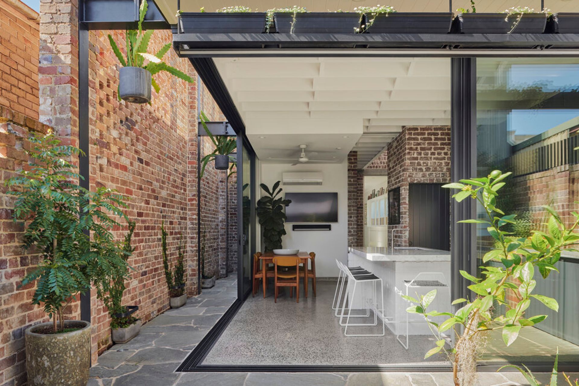 Photo Credit: Mitchell Fong