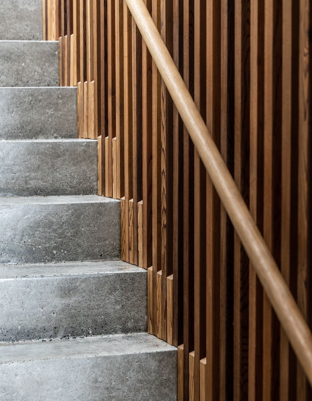 2022-10-12Bay-HouseLoungevilleCastlepeake-Architects2732048px.jpg