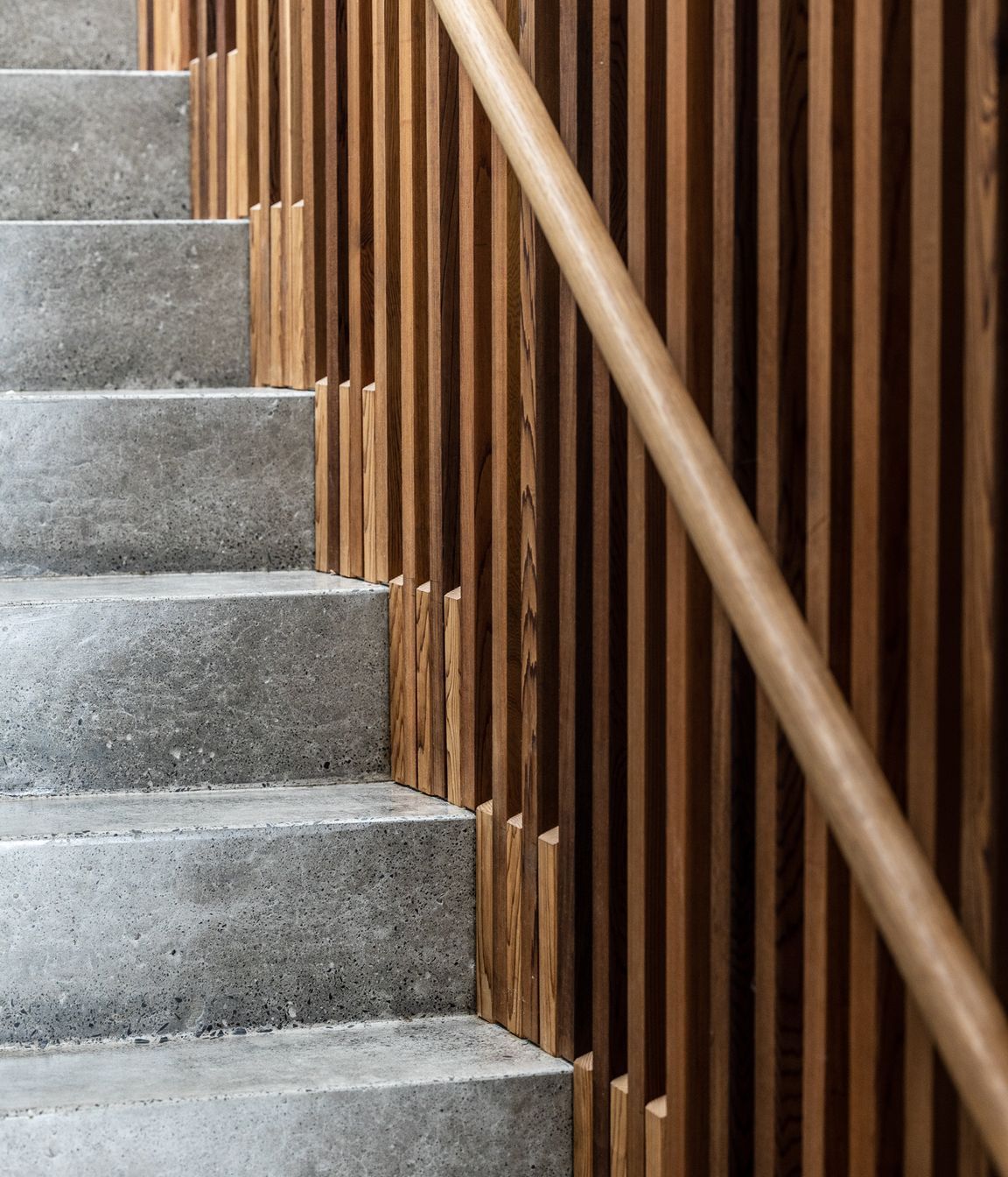 2022-10-12Bay-HouseLoungevilleCastlepeake-Architects2732048px.jpg