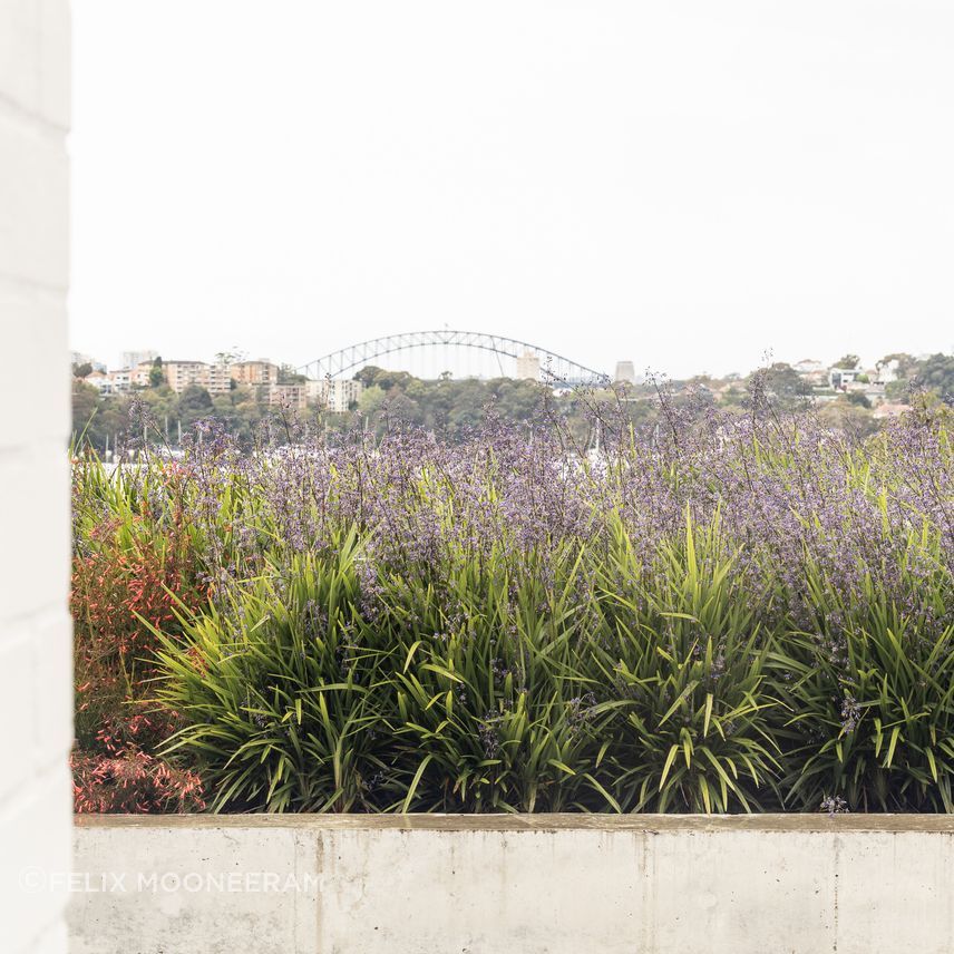 2022-10-12Bay-HouseLoungevilleCastlepeake-Architects2802048px.jpg