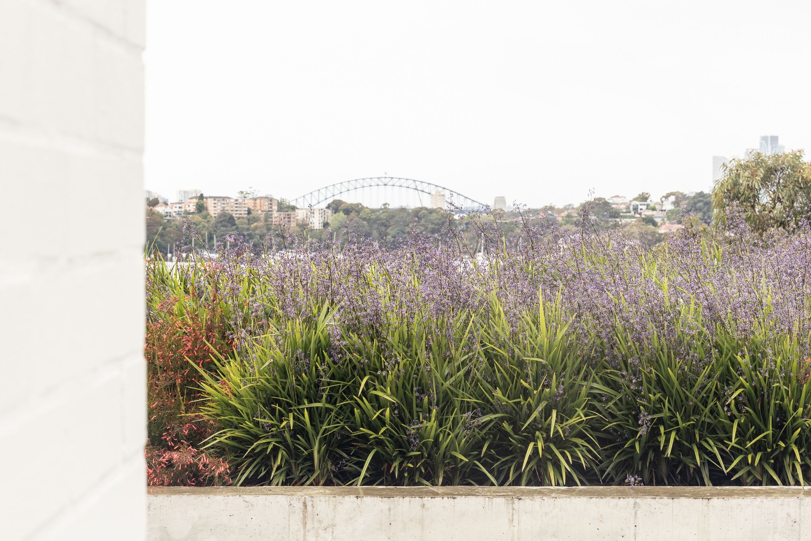 2022-10-12Bay-HouseLoungevilleCastlepeake-Architects2802048px.jpg