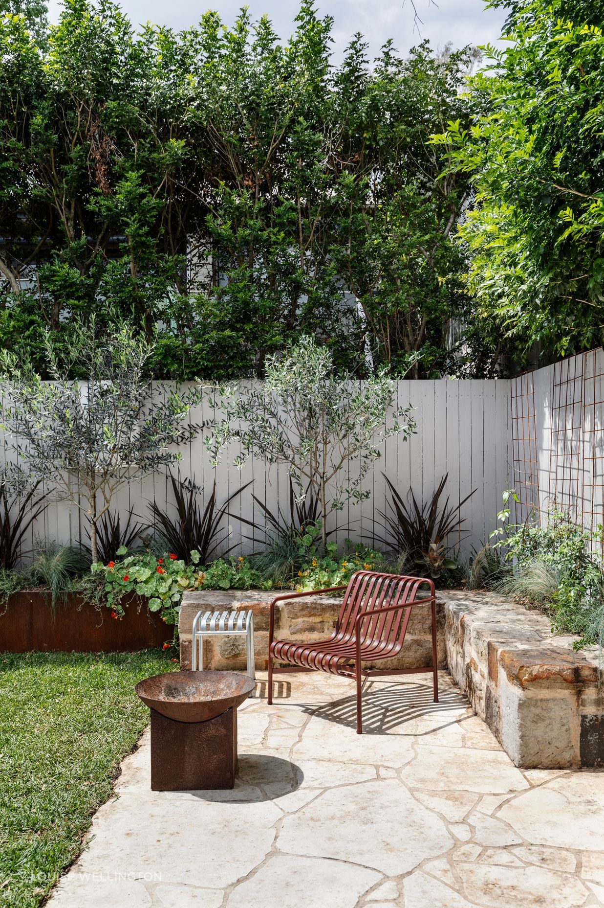20241014PacificProjectsAnnandale-2.jpg
