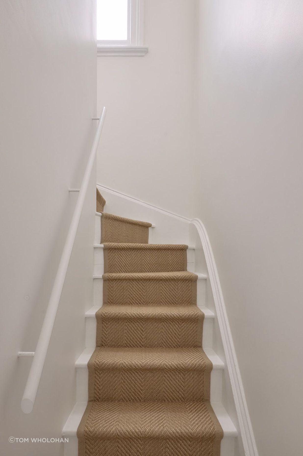20241218-Gurner-St-Paddington-Modify-Homes-TWholohan047-v2.jpg