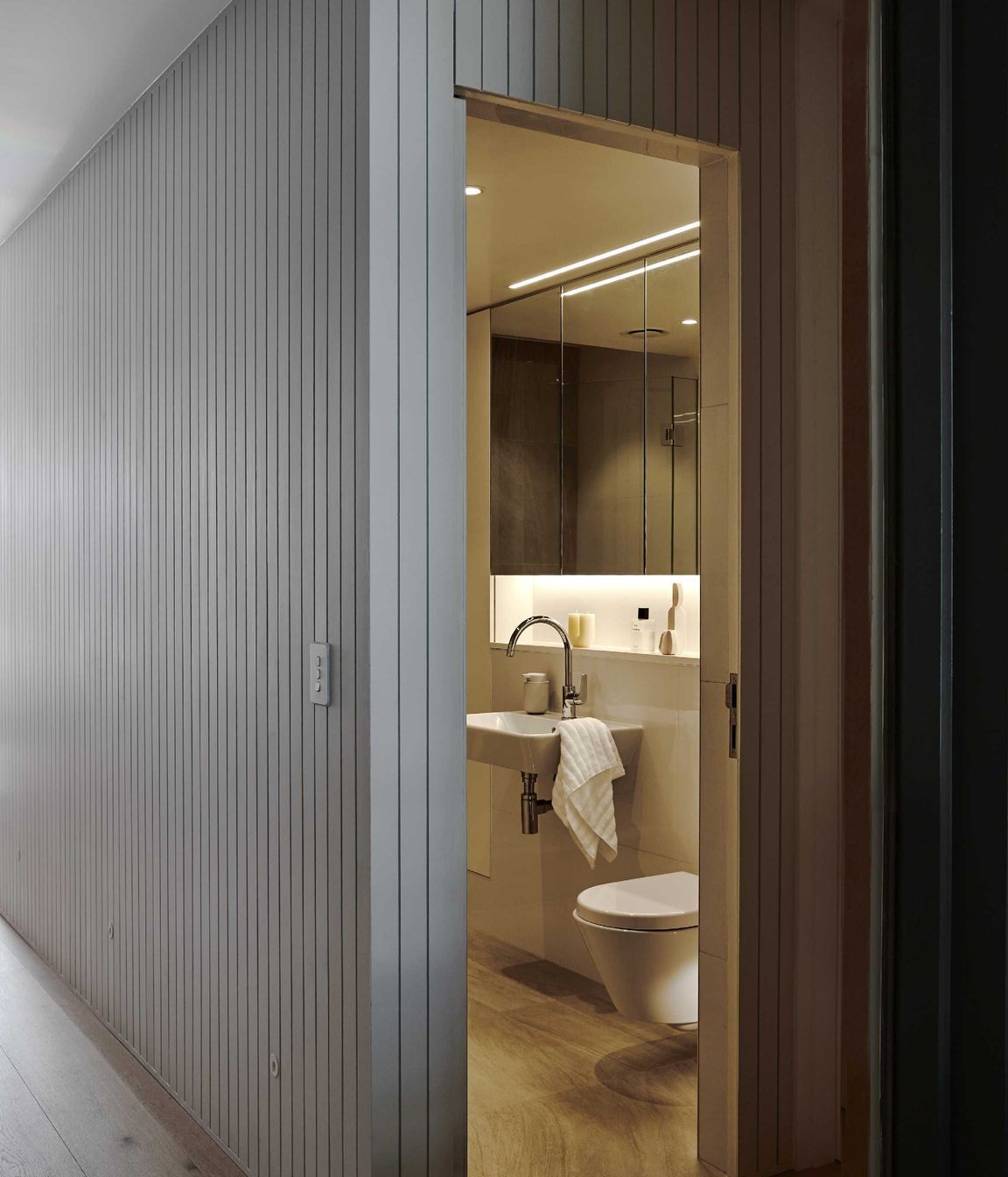 Hidden Bathroom