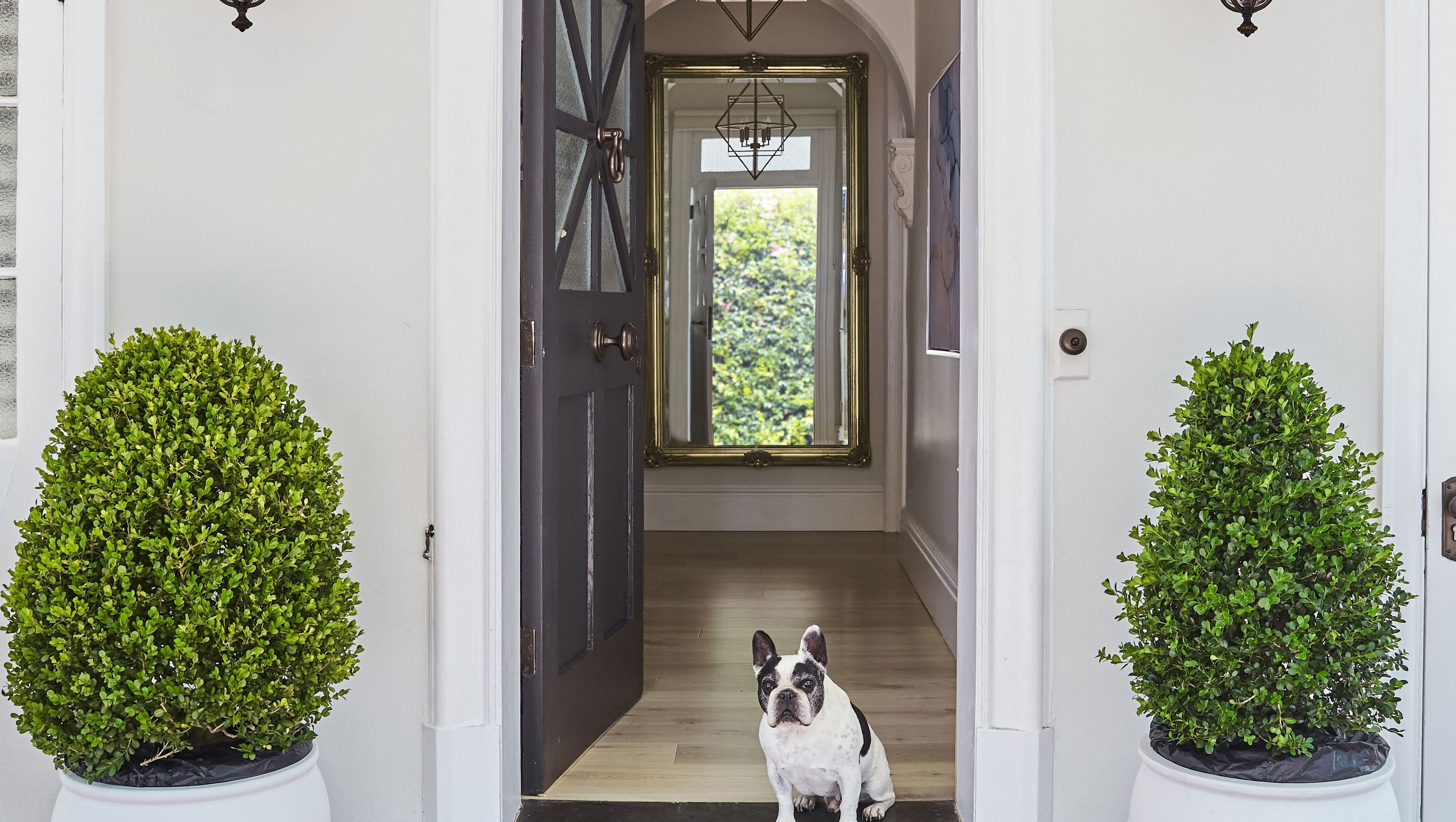 Neutral Bay House