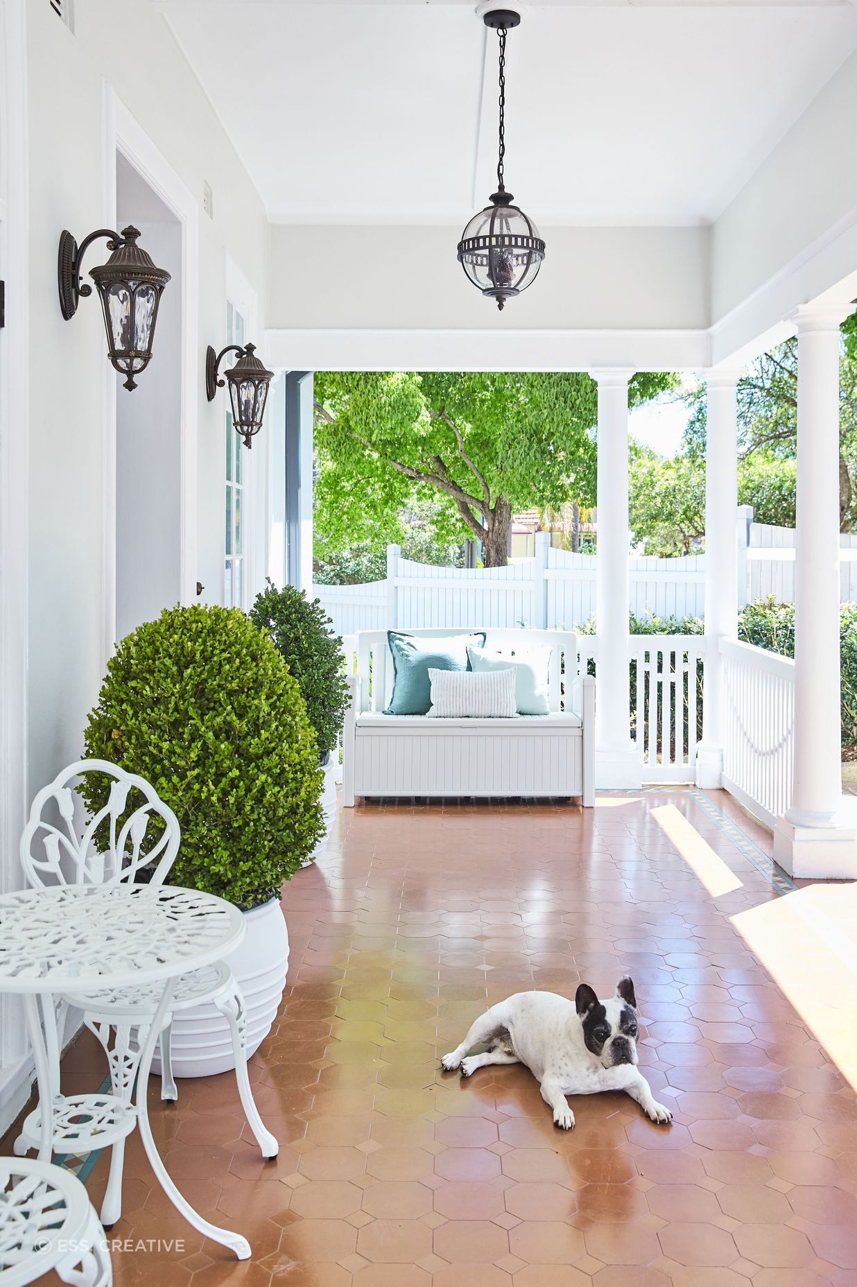 Neutral Bay House