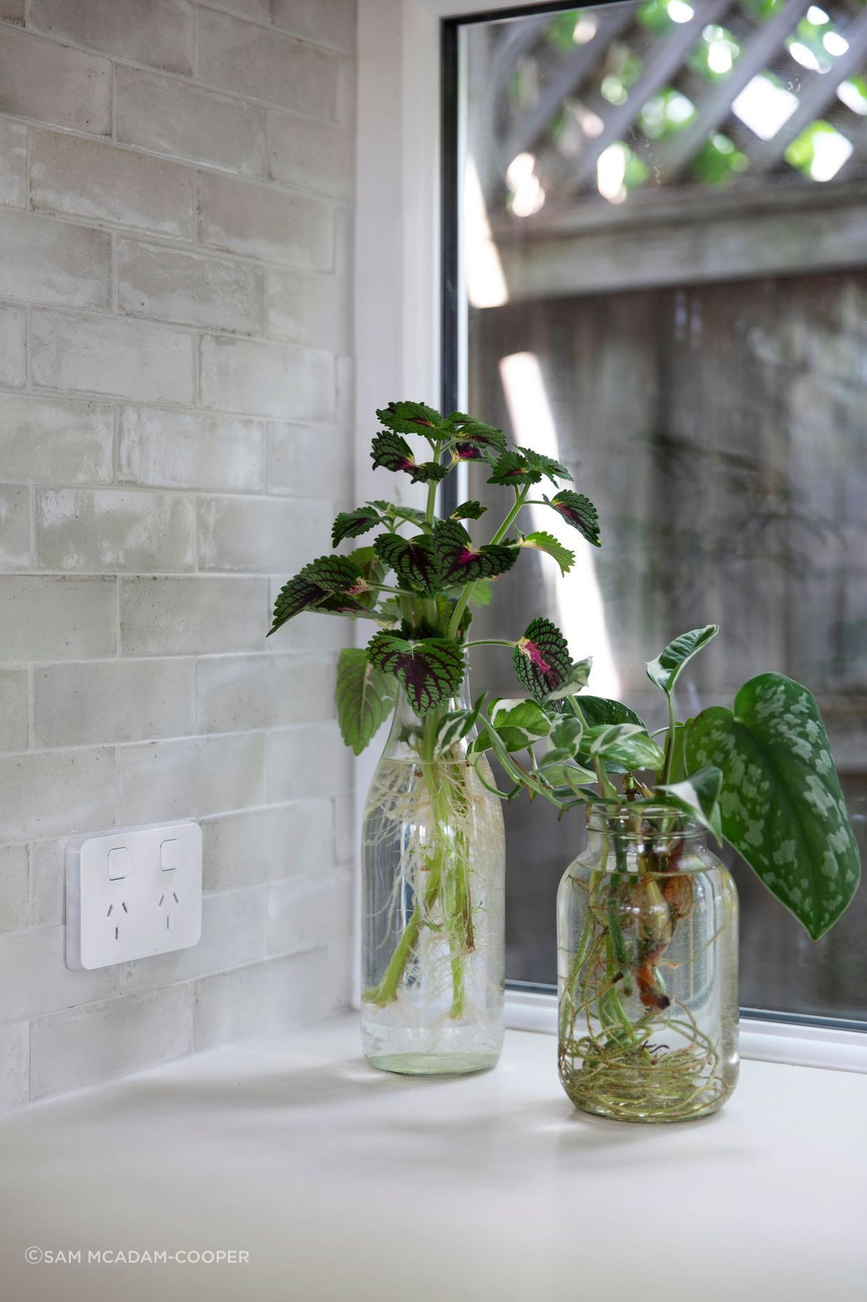 230310-Connected-Design-Dulwich-Hill-144.jpg