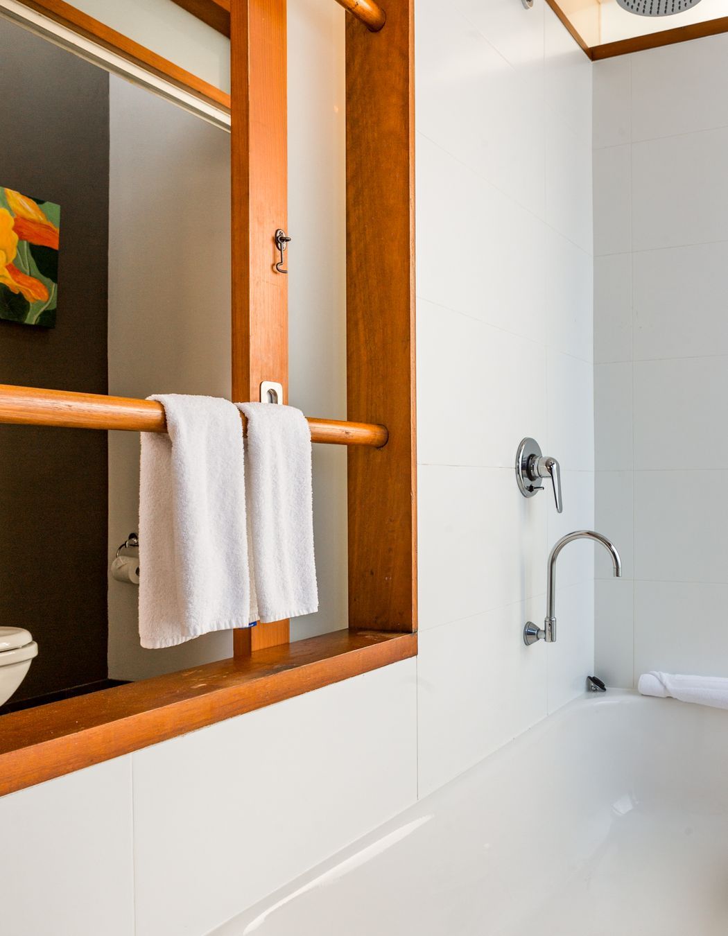 Tropical Bathroom Extension