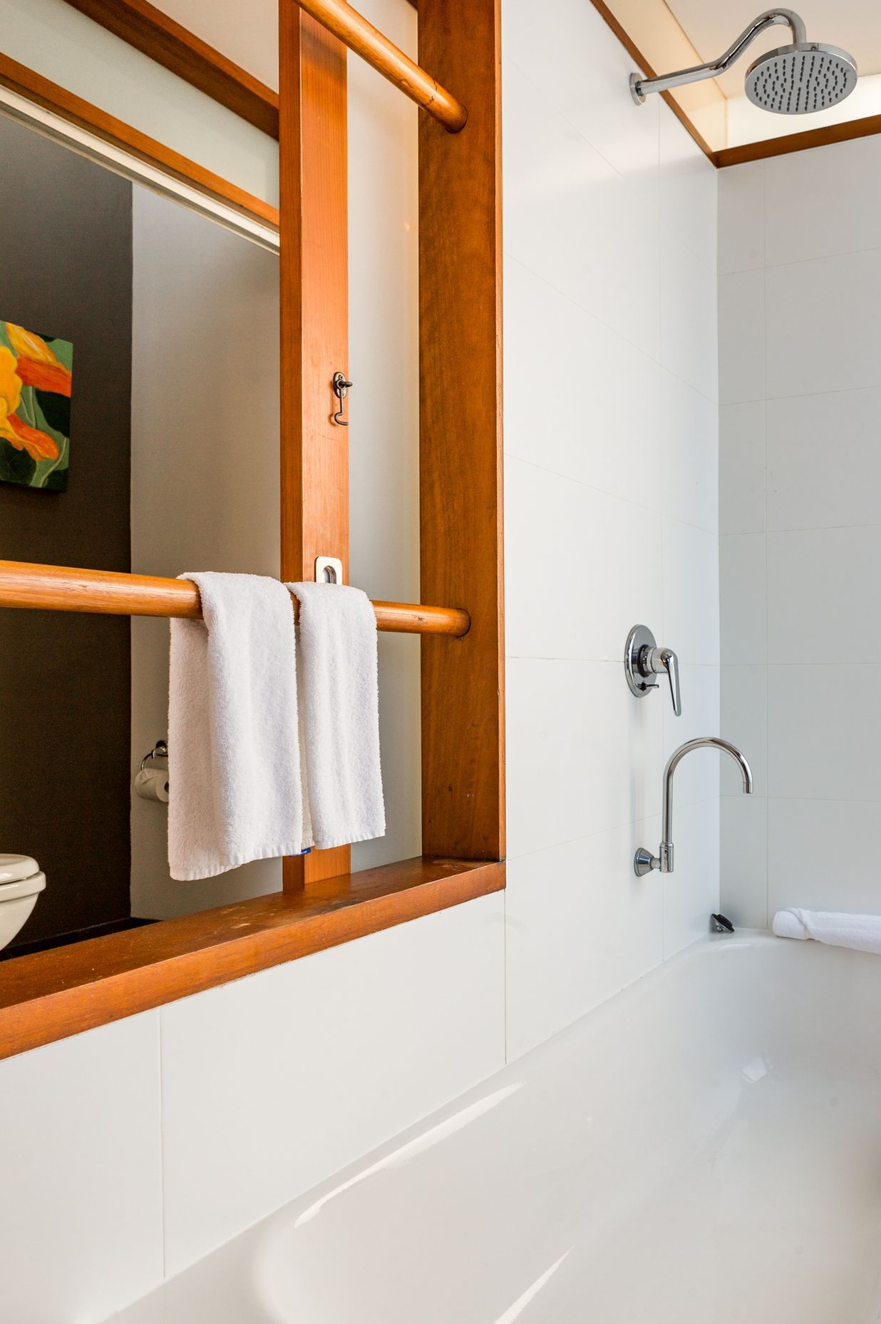 Tropical Bathroom Extension