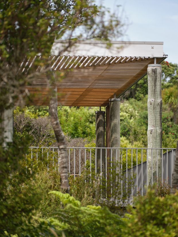 Exterior architectural detail showing a raised timber deck or walkway with a broad slatted timber pergola or sunshade, supported by substantial round timber posts. A pale metal-clad flat roof or fascia sits above the pergola, with simple metal balustrading along the deck edge. The structure is integrated into dense, leafy landscaping and viewed through foreground vegetation.