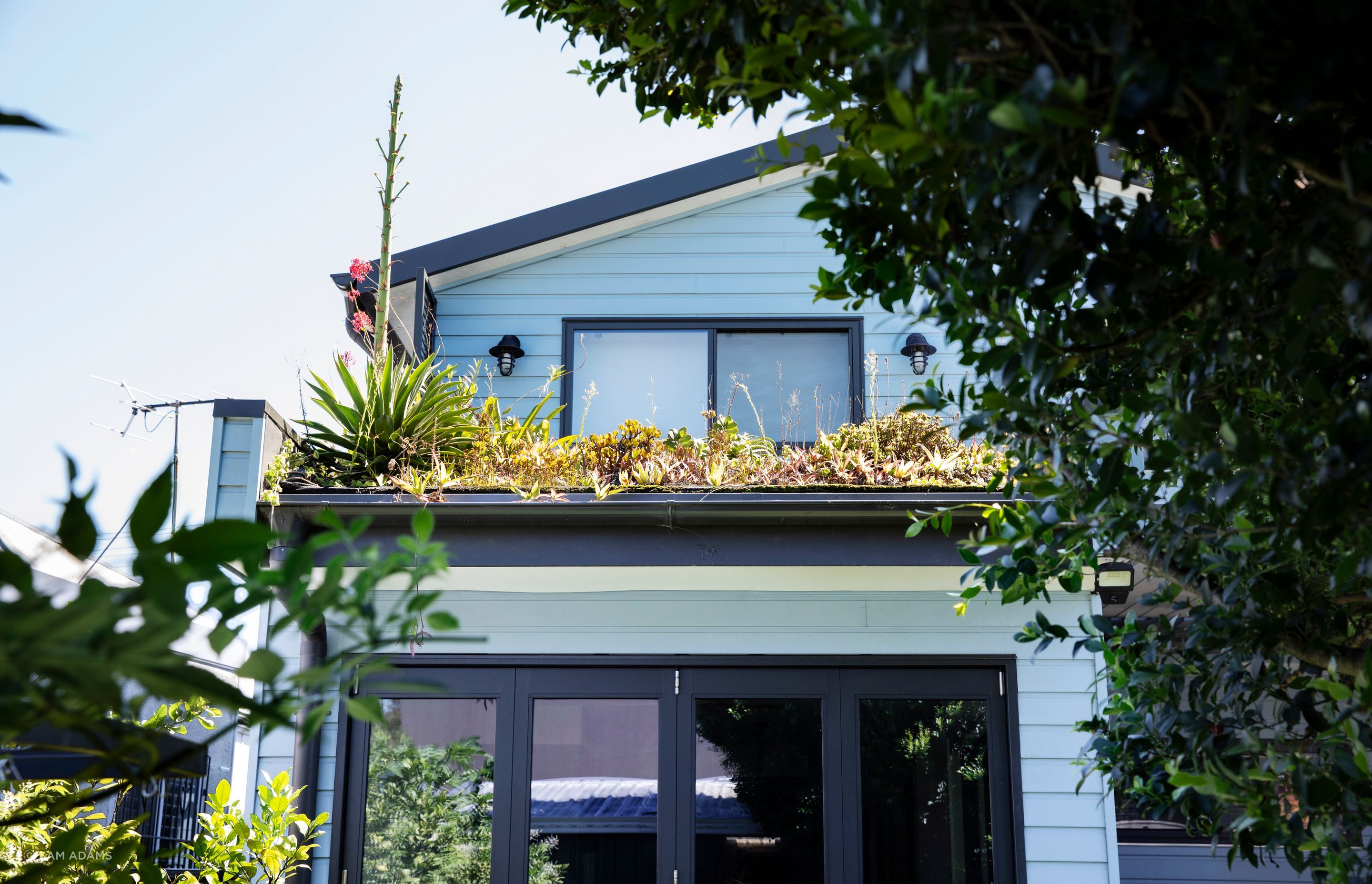 250313-Connected-Design-Marrickville-041-2.jpg