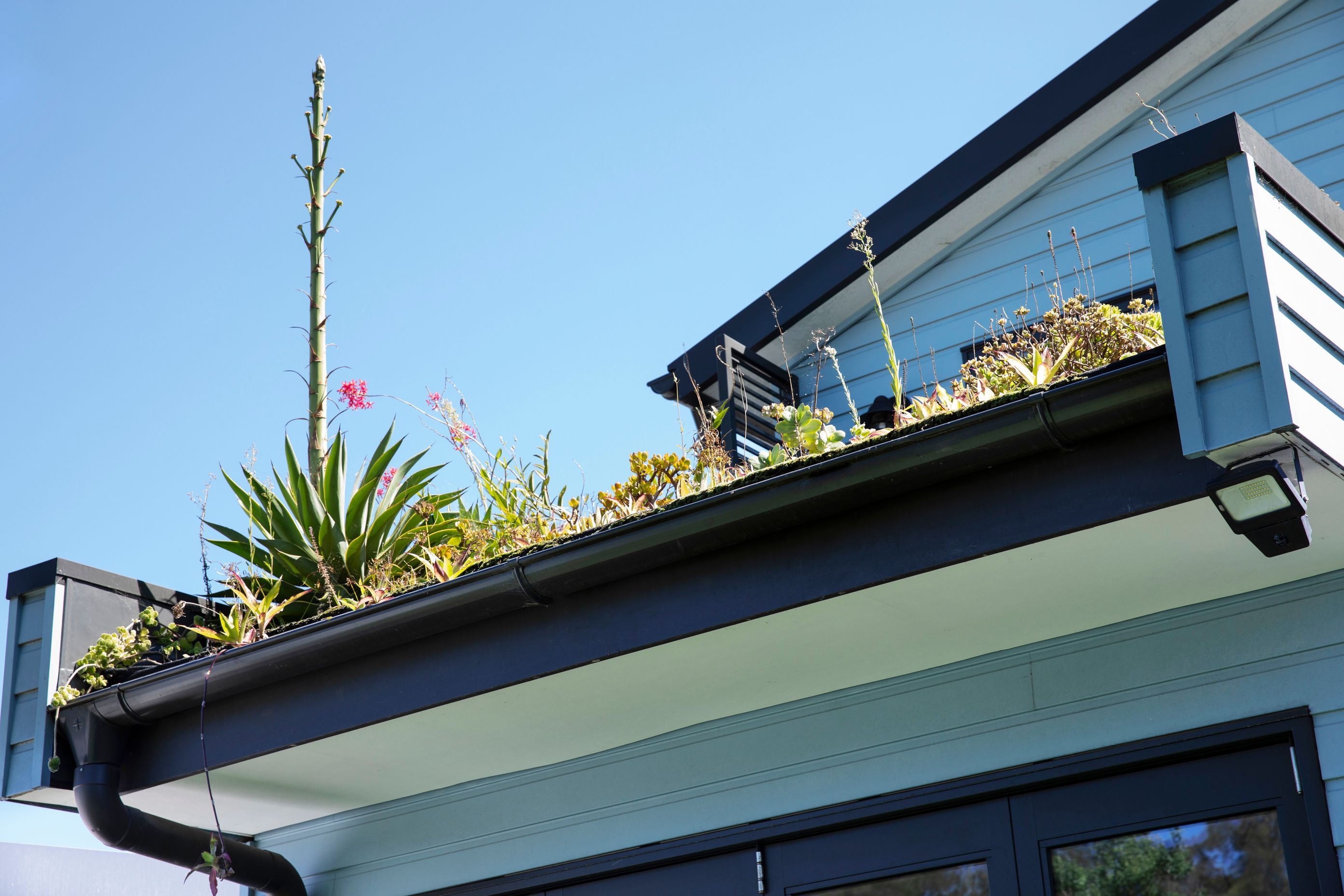250313-Connected-Design-Marrickville-055-2.jpg