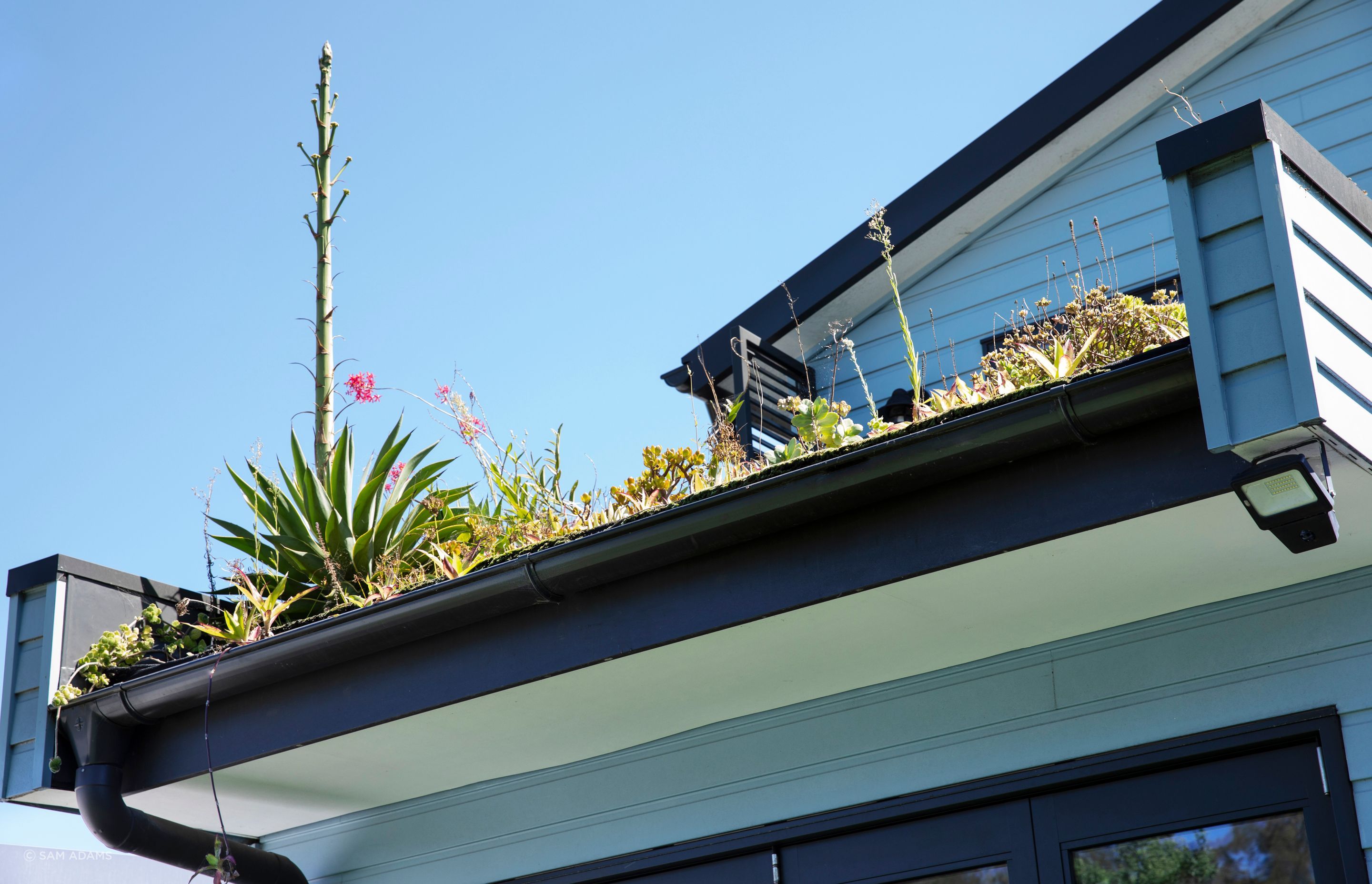 250313-Connected-Design-Marrickville-055-2.jpg
