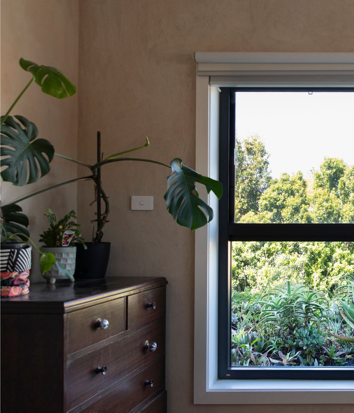 250313-Connected-Design-Marrickville-133A.jpg