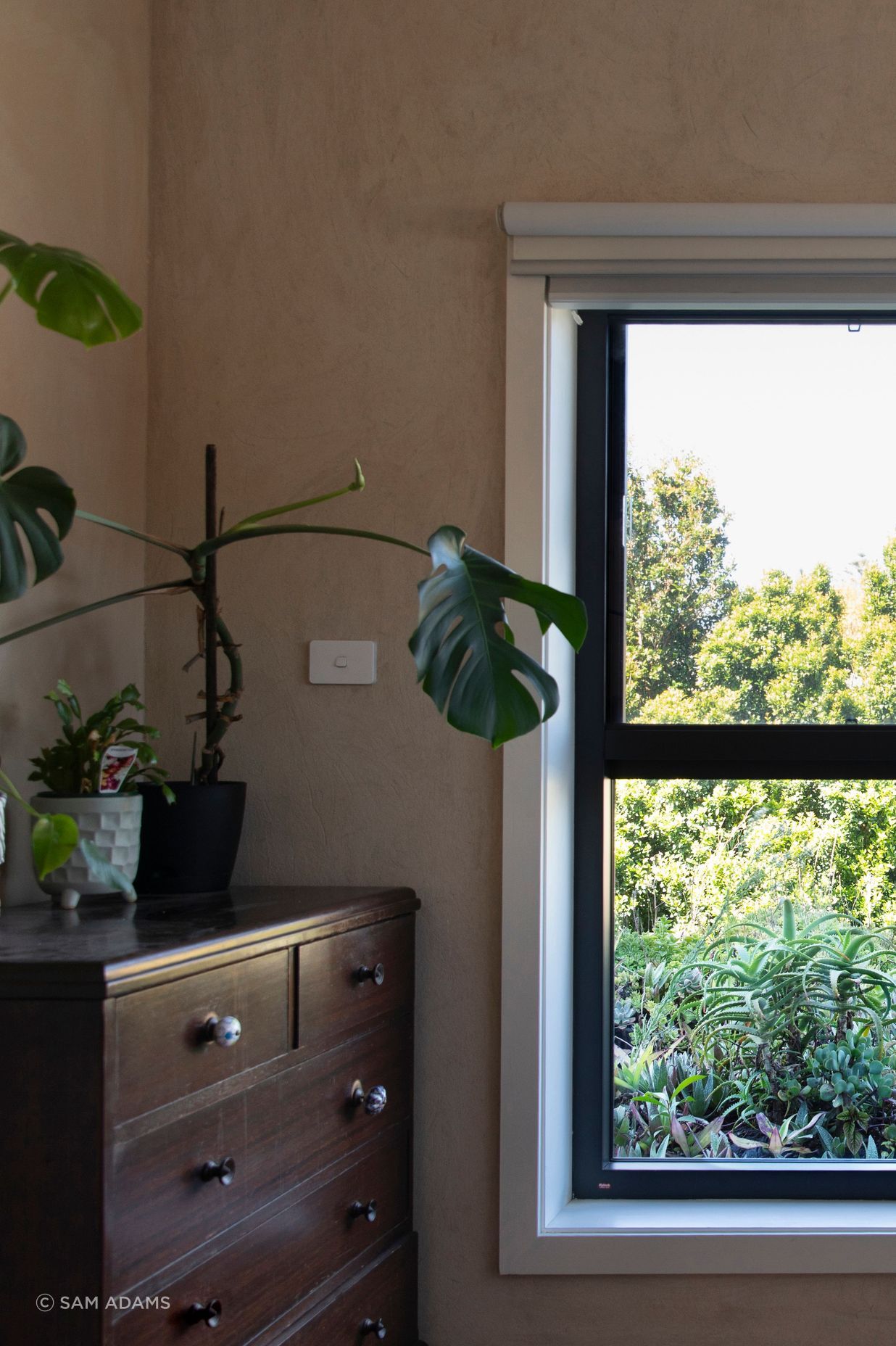 250313-Connected-Design-Marrickville-133A.jpg