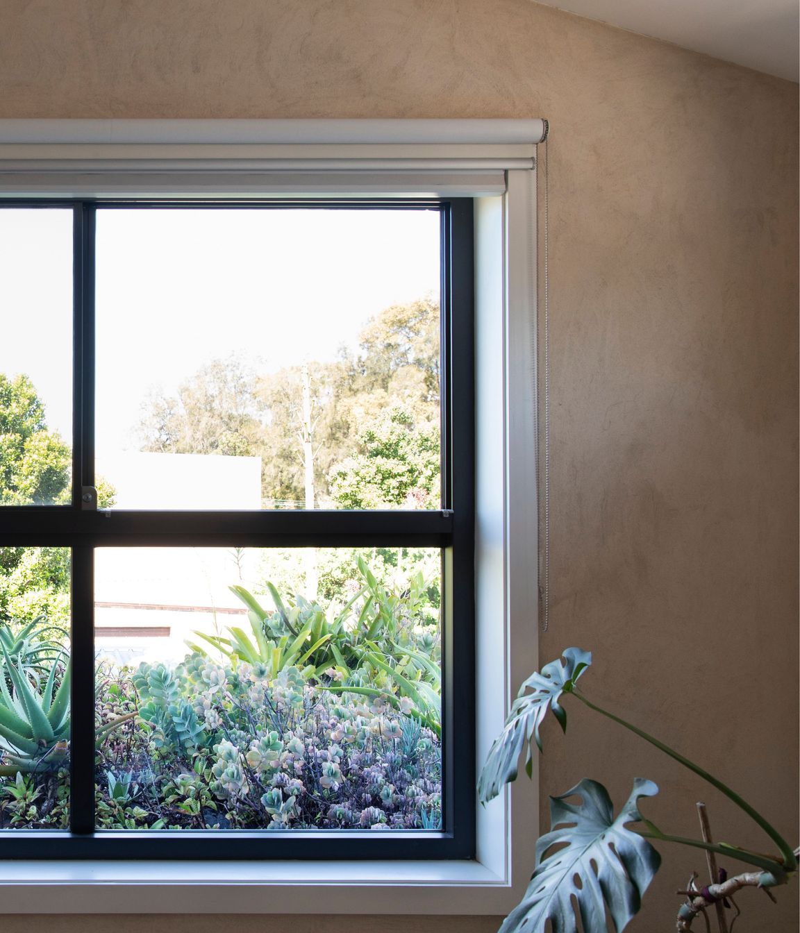 250313-Connected-Design-Marrickville-133B.jpg