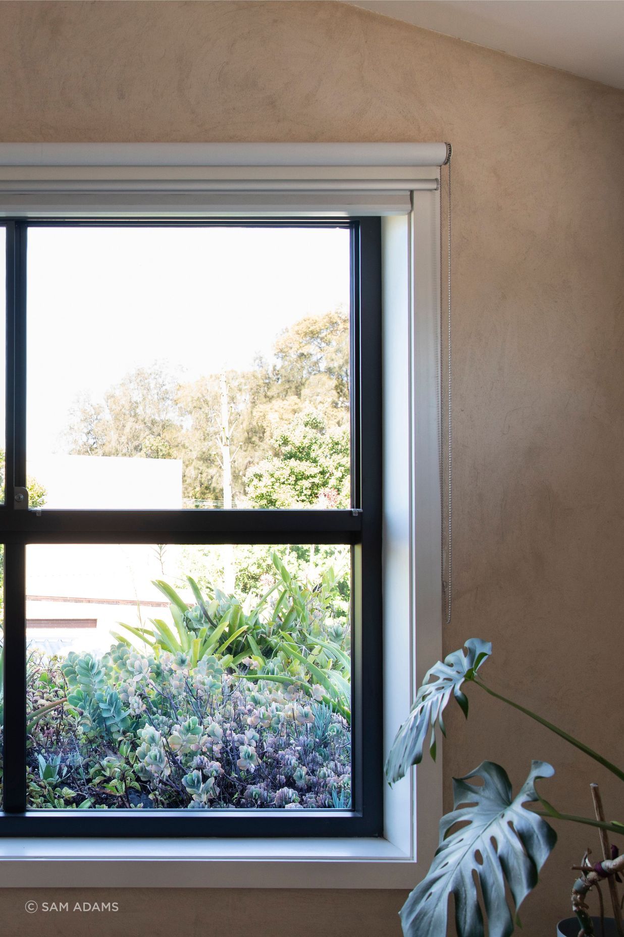 250313-Connected-Design-Marrickville-133B.jpg