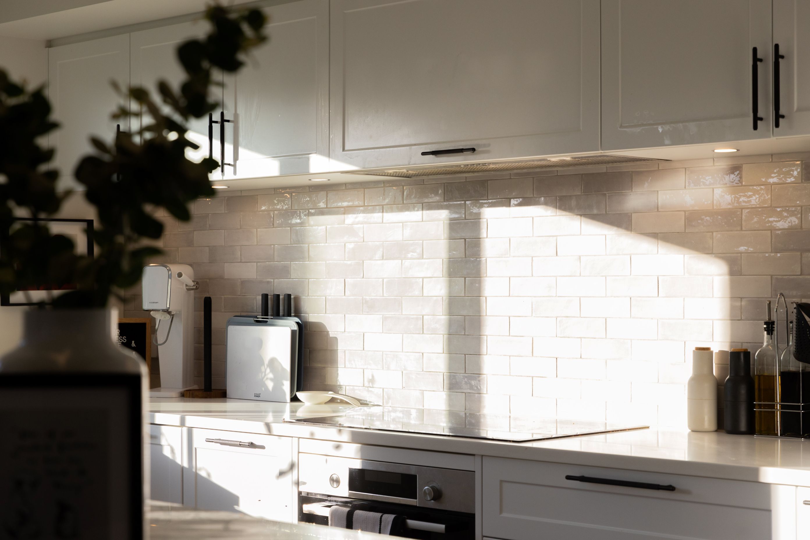 Stylish Ponsonby Renovation