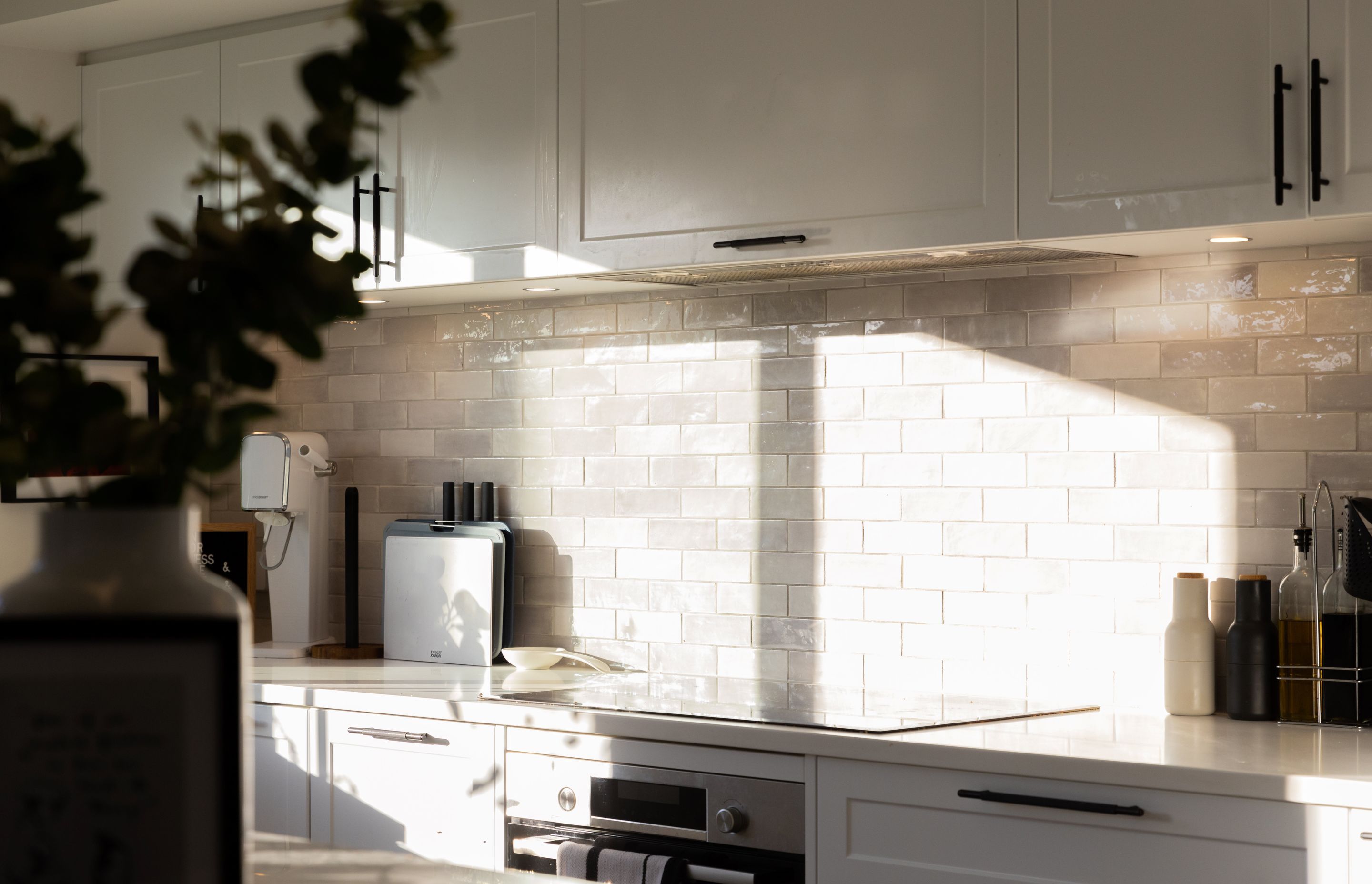 Stylish Ponsonby Renovation