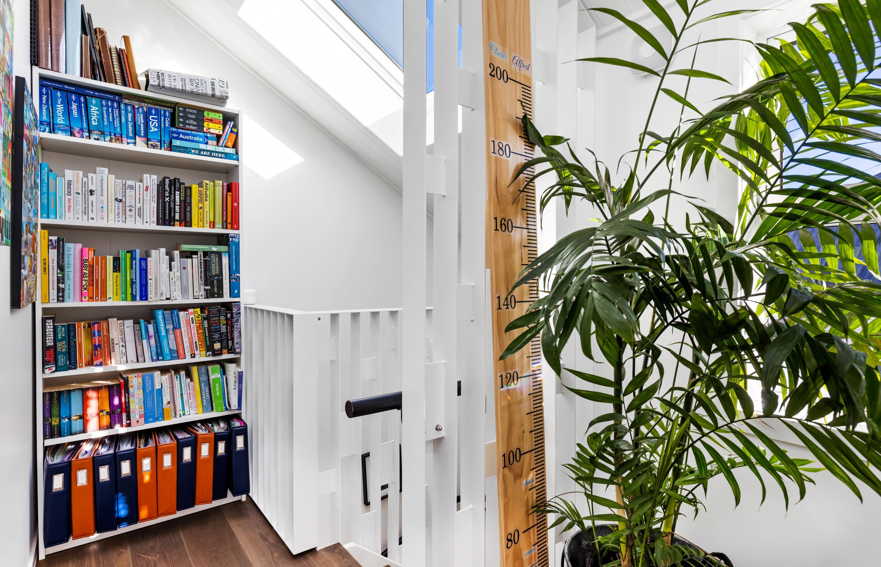 Stylish Ponsonby Renovation