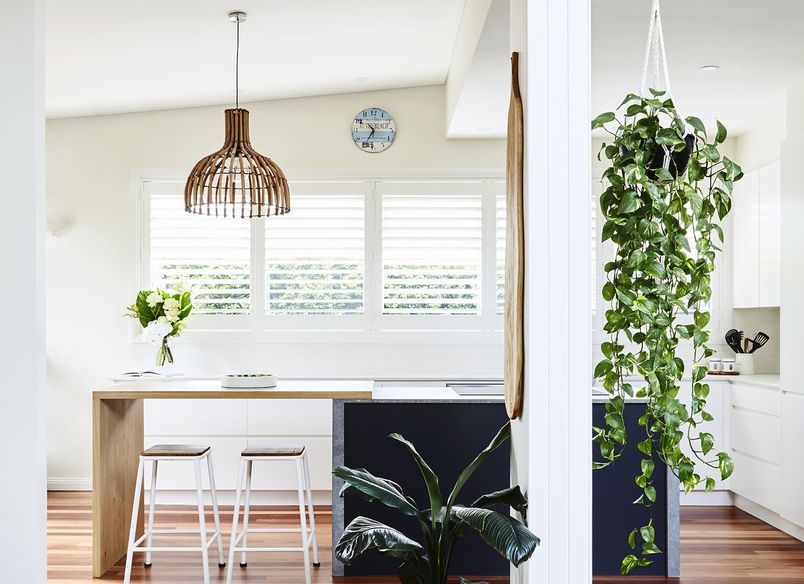 Mona Vale Project