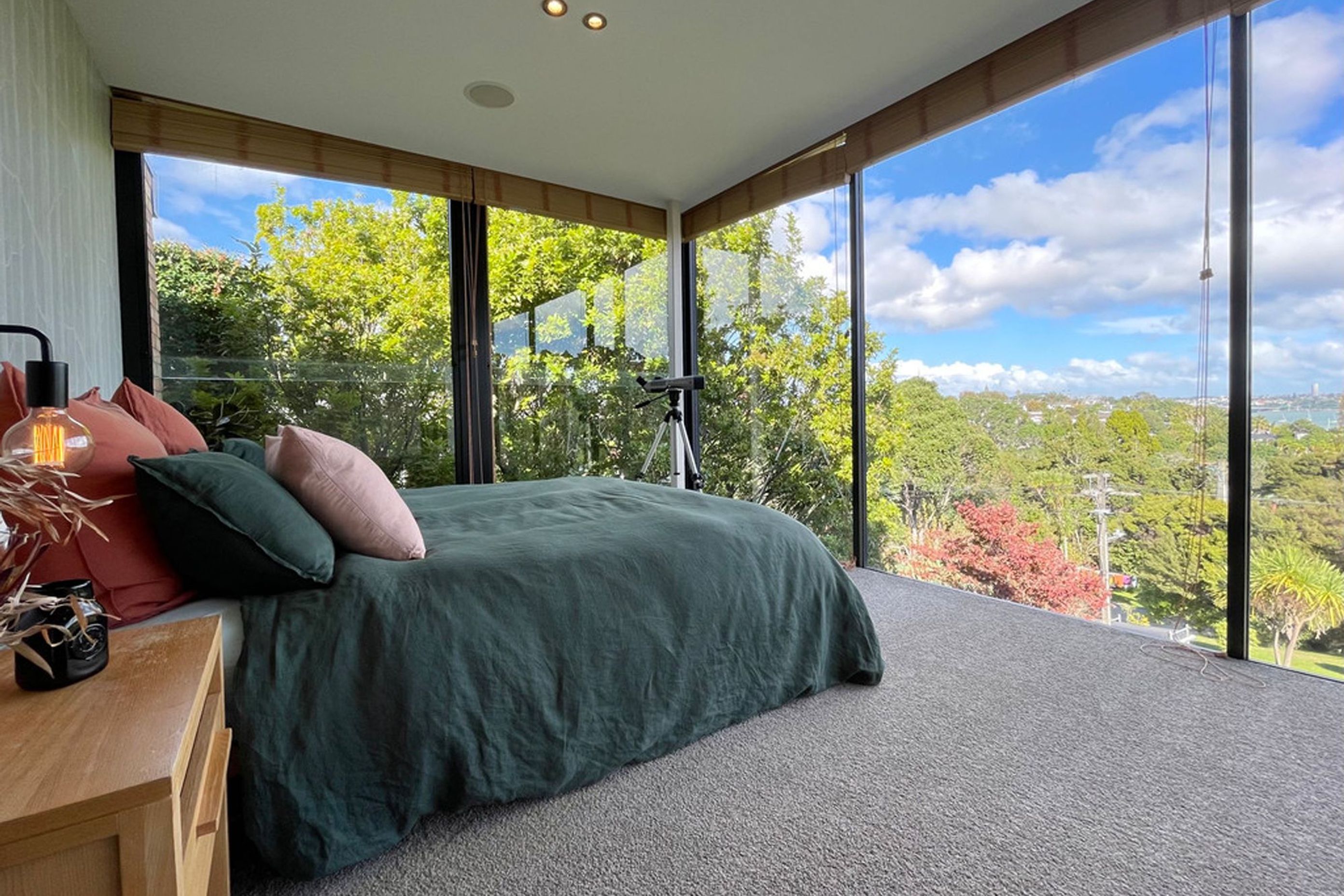 Mid Century Home