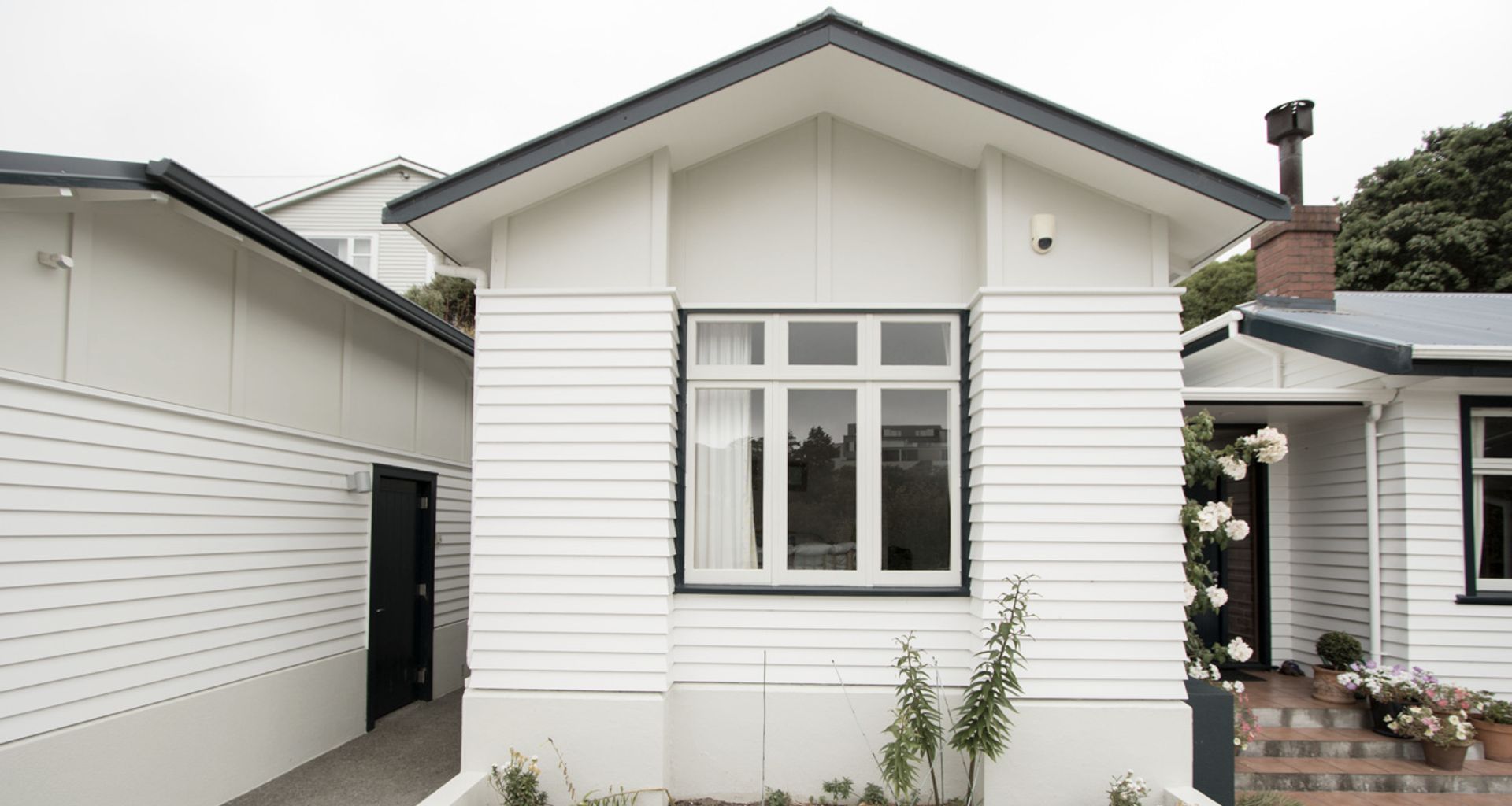 Ngaio banner
