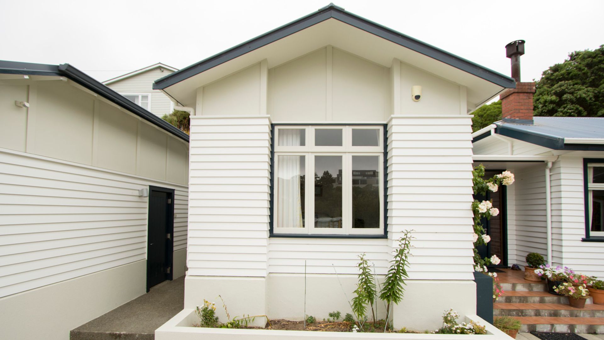 Ngaio banner