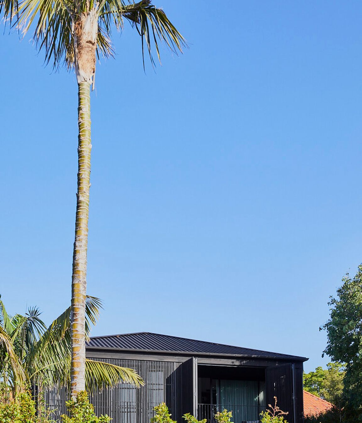 Mosman Terrace