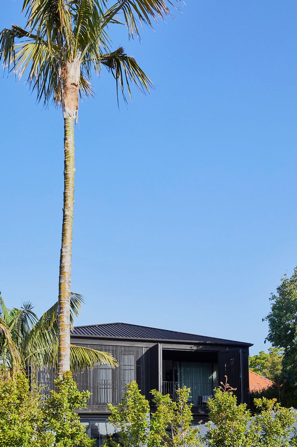 Mosman Terrace