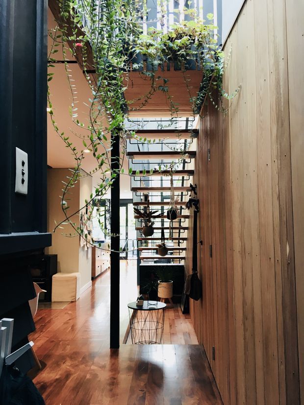 A narrow, tall interior passage or entry area with polished timber flooring and a full-height vertical timber wall on the right. Black steel columns and an open-riser stair or overhead timber-and-metal framework create a strong linear composition through the space. Trailing plants hang from upper planters and shelves, while daylight enters through glazing at the far end and overhead openings. A small round side table, lamp, seating, and dark built-in elements add residential character. The space has a warm, contemporary, biophilic and slightly industrial feel.