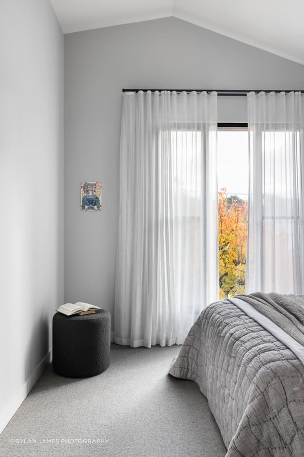 Andrew Haus | Northcote
