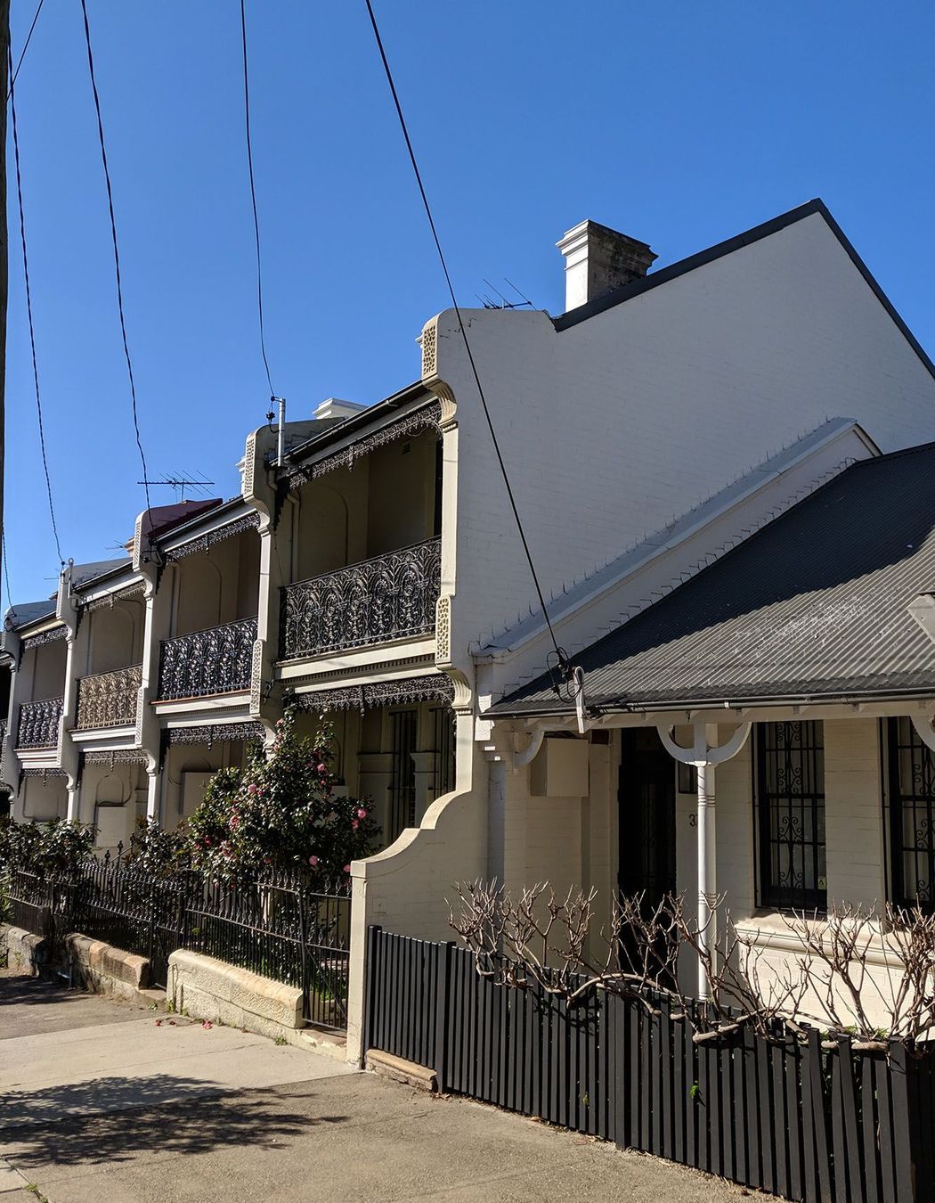 Timeless Terrace