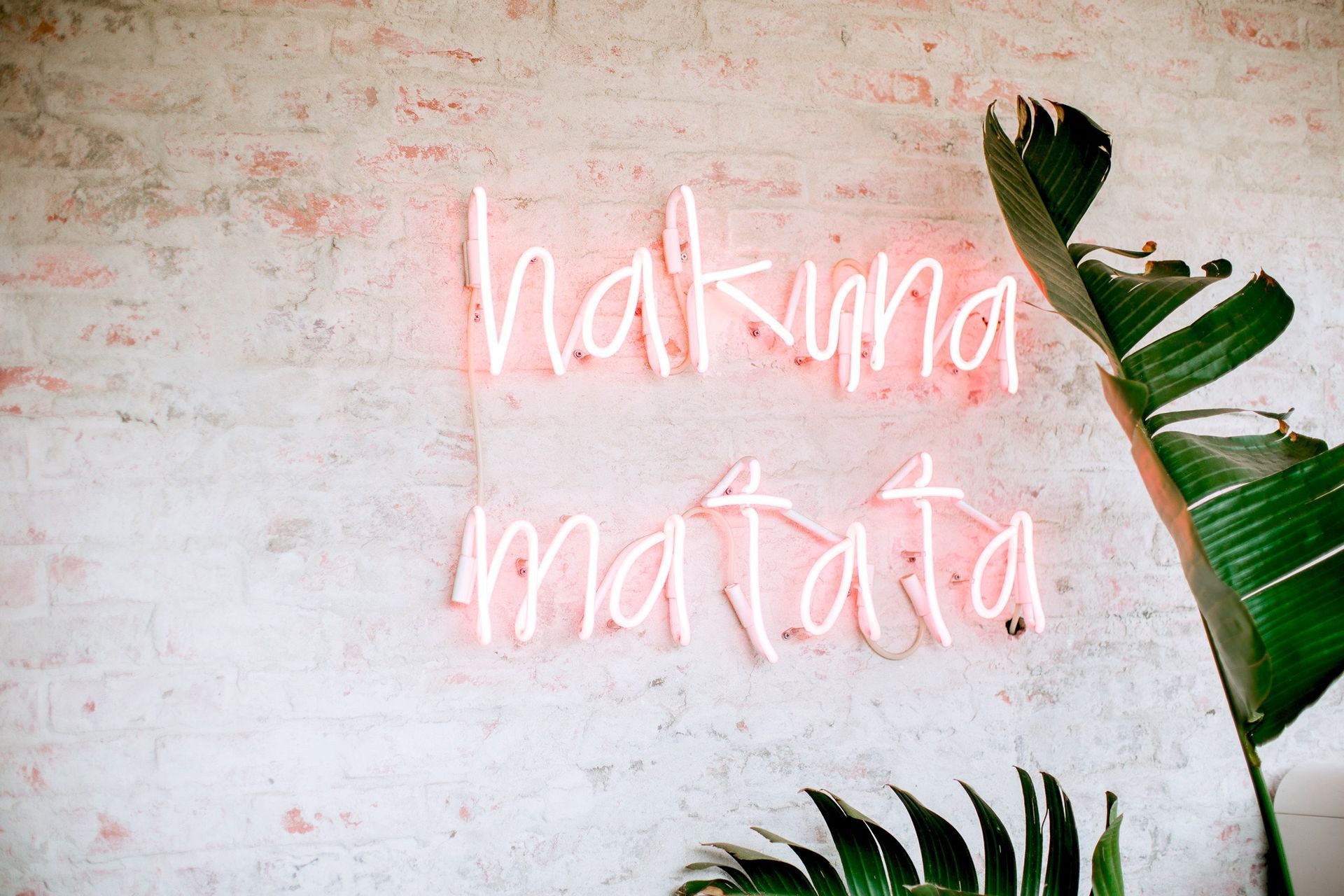 ##The Character of Beaconsfield