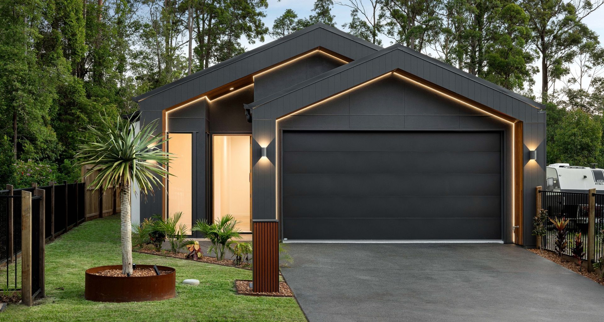 Palm Forest | Renovare banner