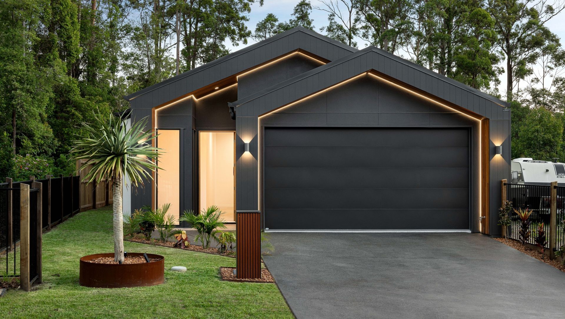Palm Forest | Renovare banner