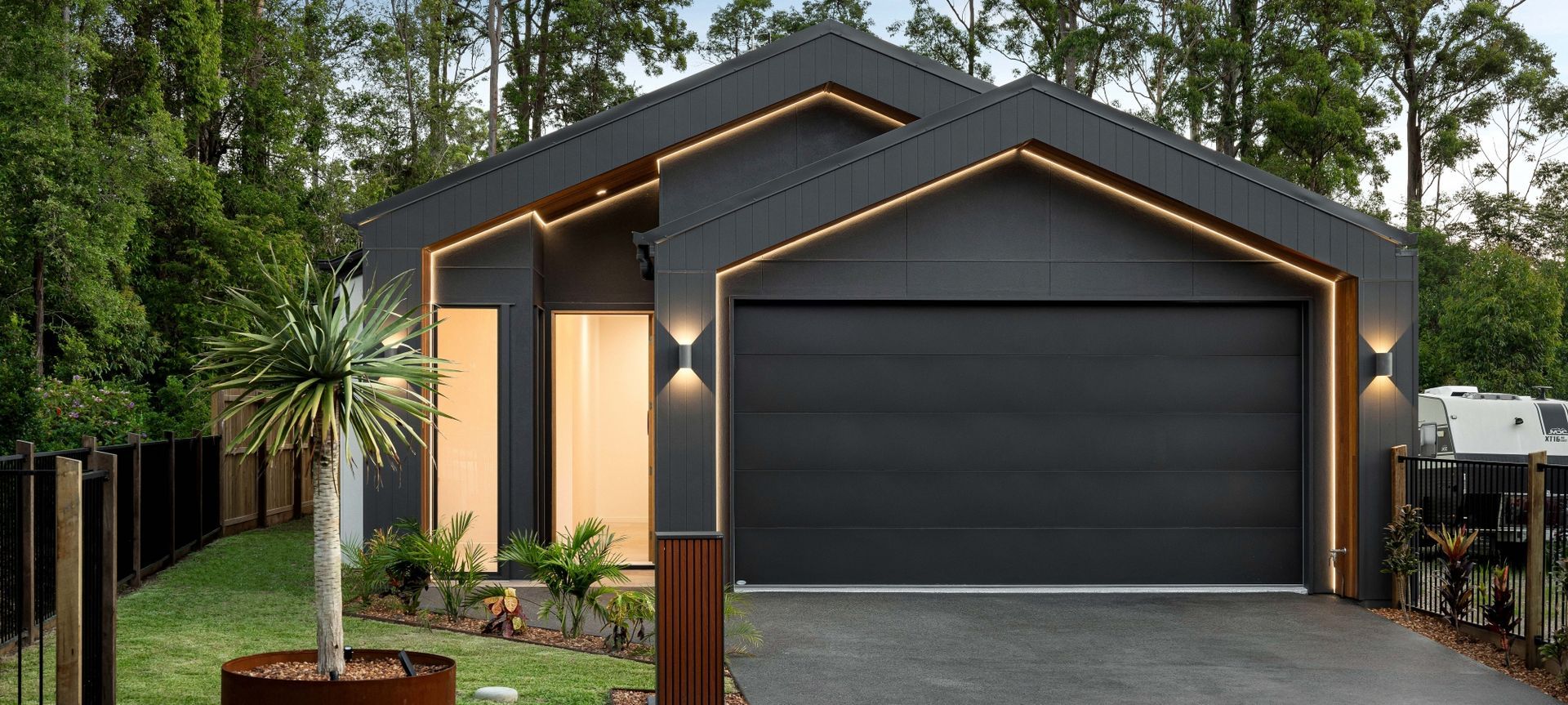 Palm Forest | Renovare banner