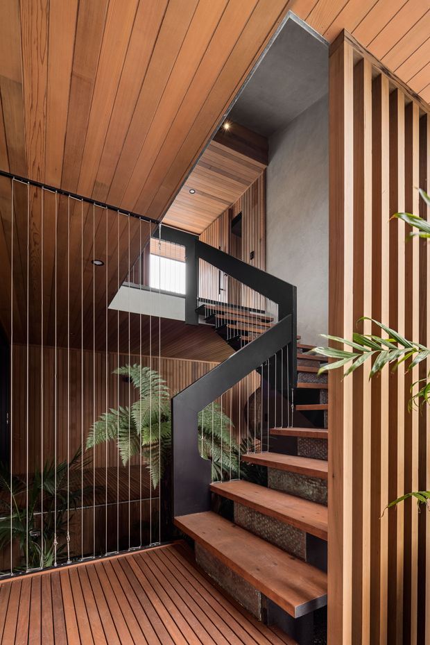 A dramatic multi-level interior stairway with warm timber lining across the ceiling, walls and flooring. The staircase has dark metal stringers and balustrades with slender vertical cables, timber treads, and textured dark risers. Vertical timber battens screen the right side, while indoor ferns and leafy plants add greenery. A void and upper-level landing create a strong sense of height and layered circulation.